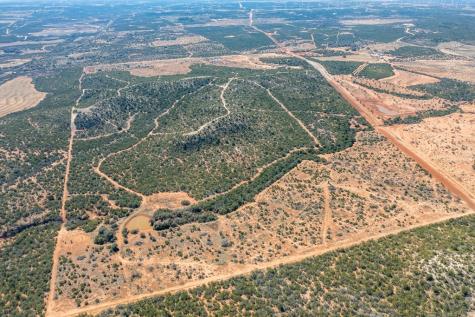 782 County Road 145 Sweetwater TX 79556