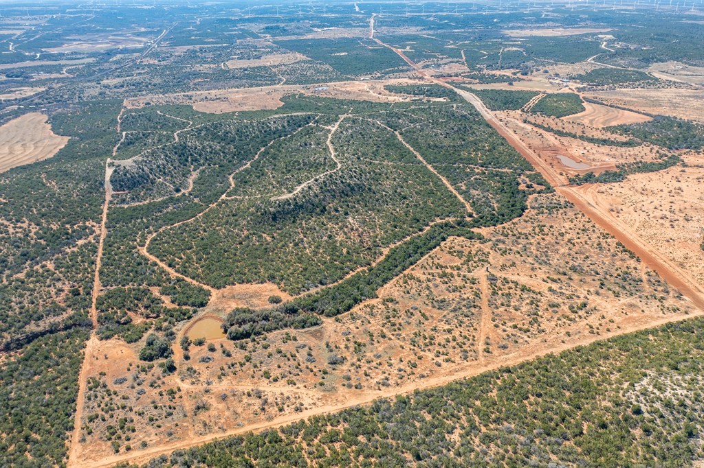 782 County Road 145 Sweetwater TX 79556