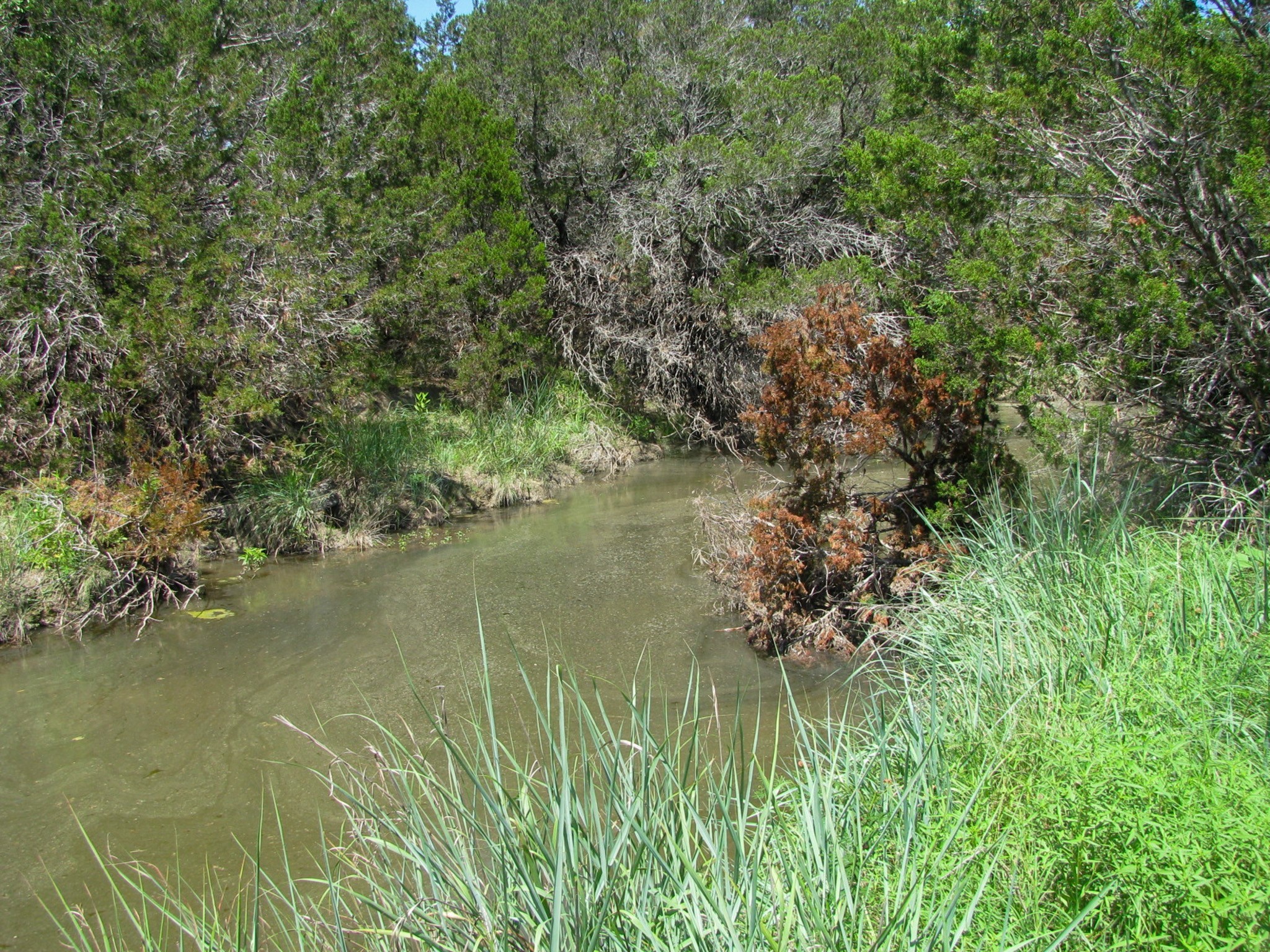Lot 63 Phase 6 Pr 42107 Evant TX 76525