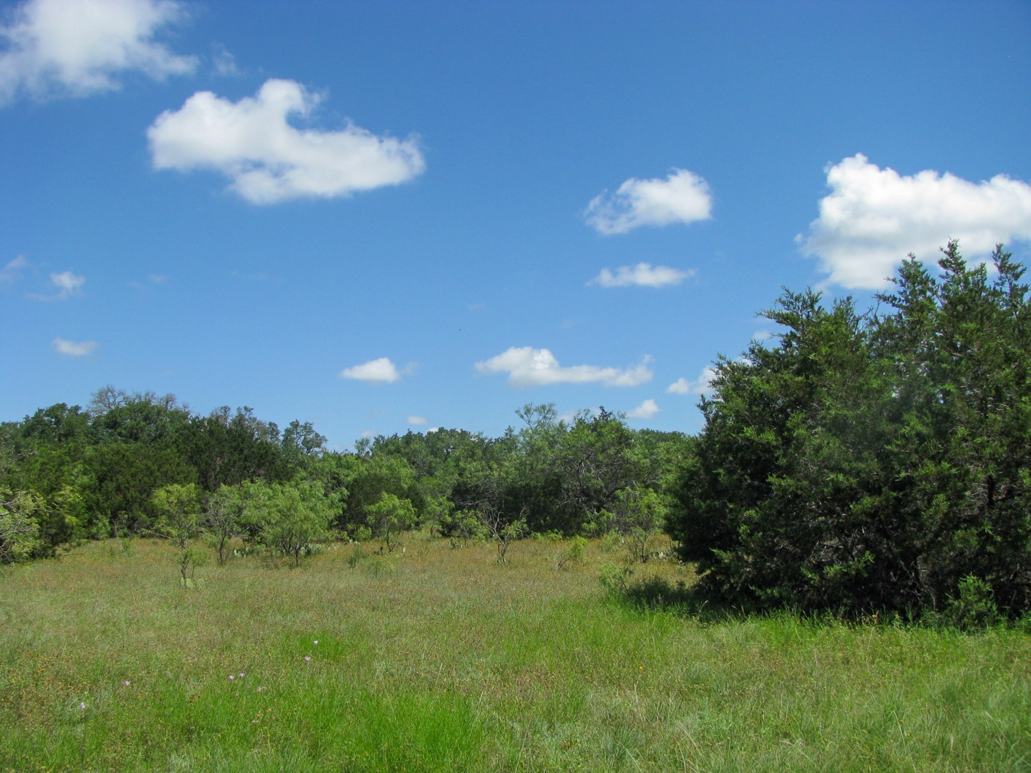 Lot 63 Phase 6 Pr 42107 Evant TX 76525