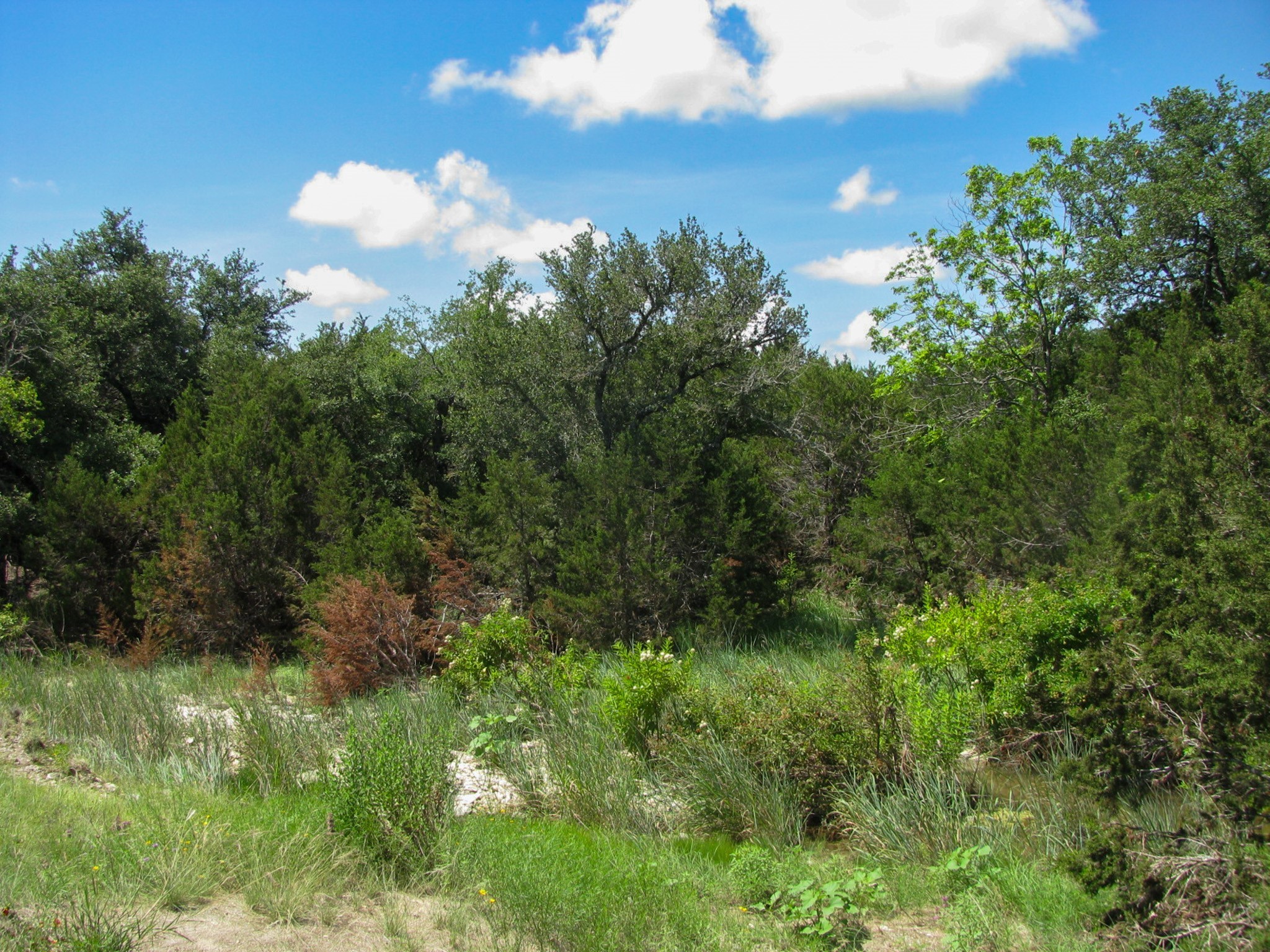 Lot 63 Phase 6 Pr 42107 Evant TX 76525