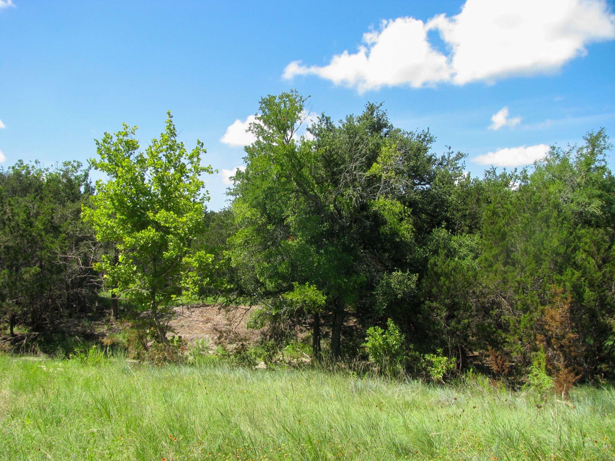 Lot 63 Phase 6 Pr 42107 Evant TX 76525