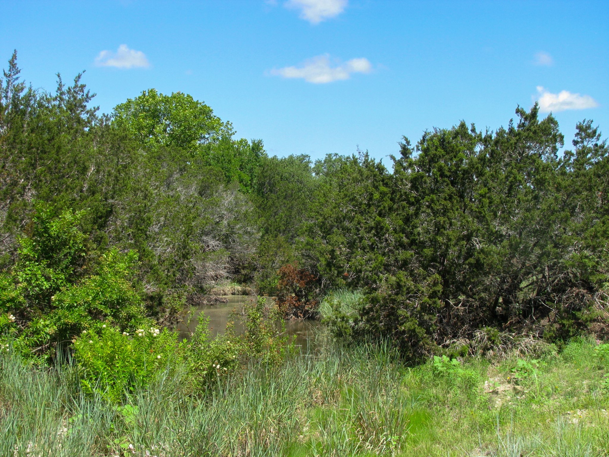 Lot 63 Phase 6 Pr 42107 Evant TX 76525