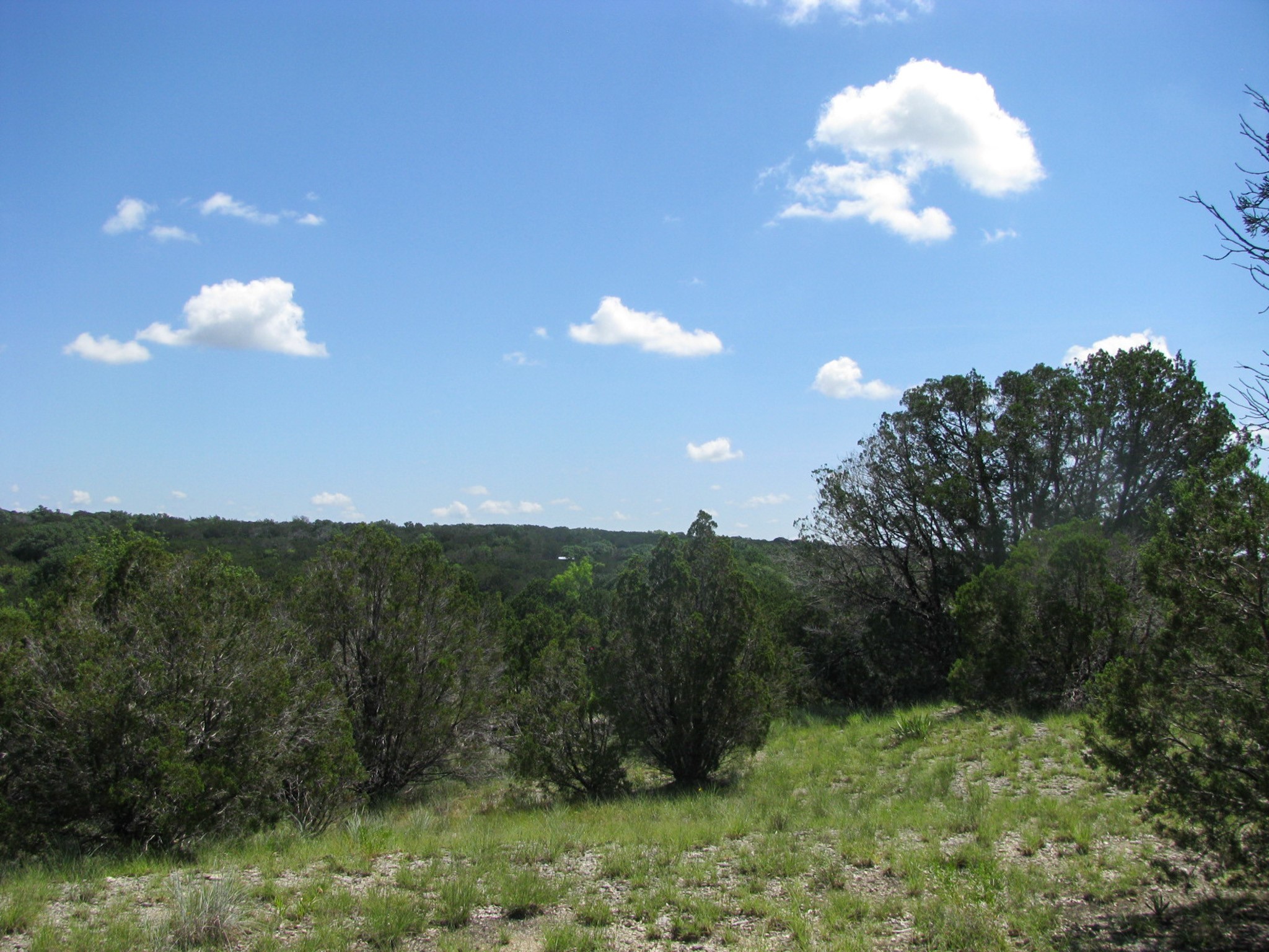 Lot 63 Phase 6 Pr 42107 Evant TX 76525