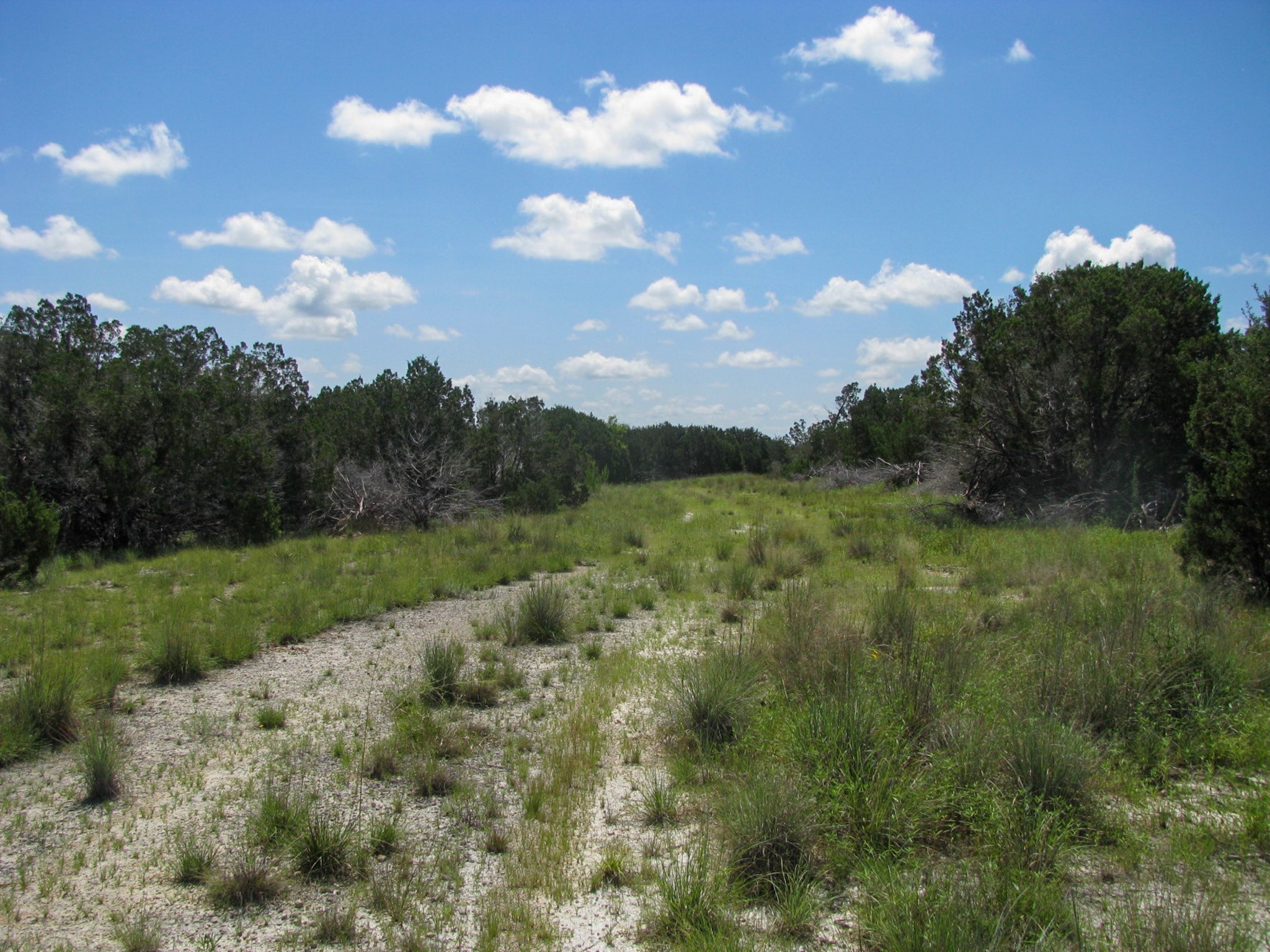 Lot 63 Phase 6 Pr 42107 Evant TX 76525