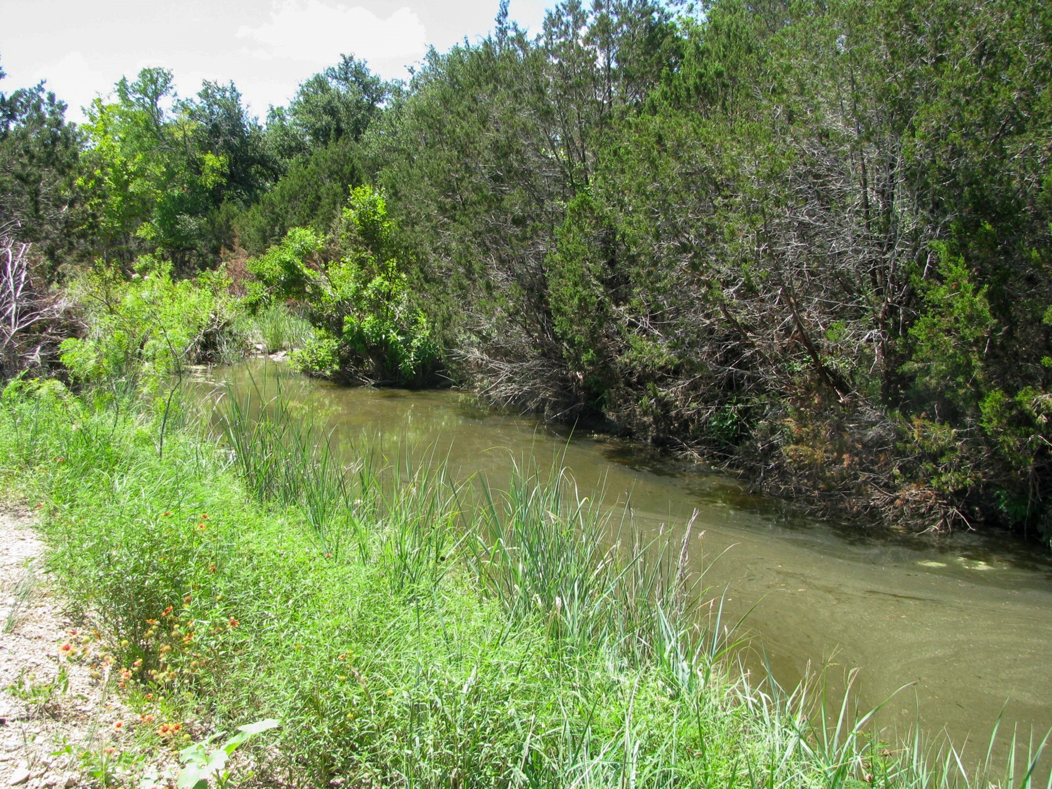 Lot 63 Phase 6 Pr 42107 Evant TX 76525