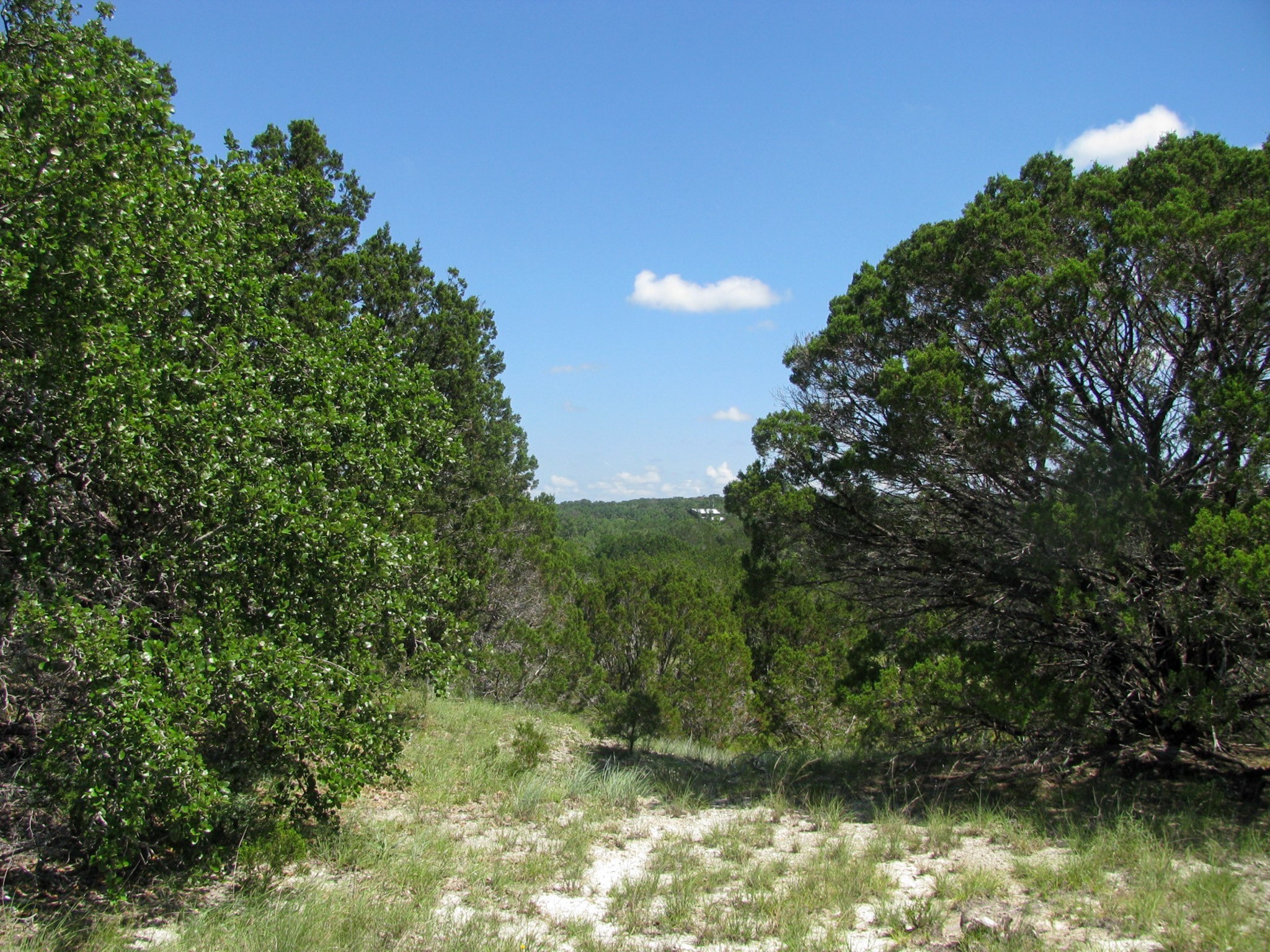Lot 63 Phase 6 Pr 42107 Evant TX 76525