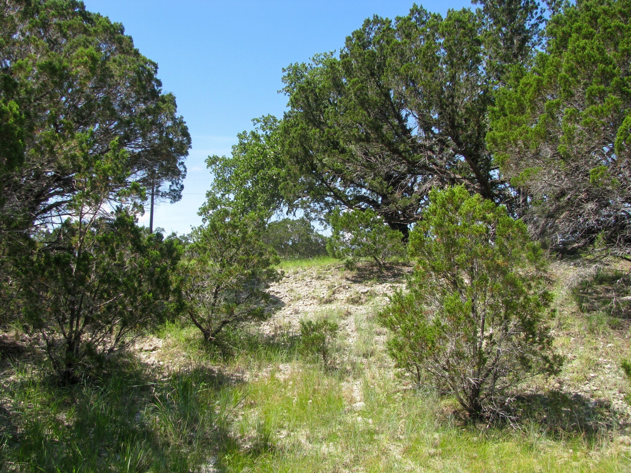 Lot 63 Phase 6 Pr 42107 Evant TX 76525