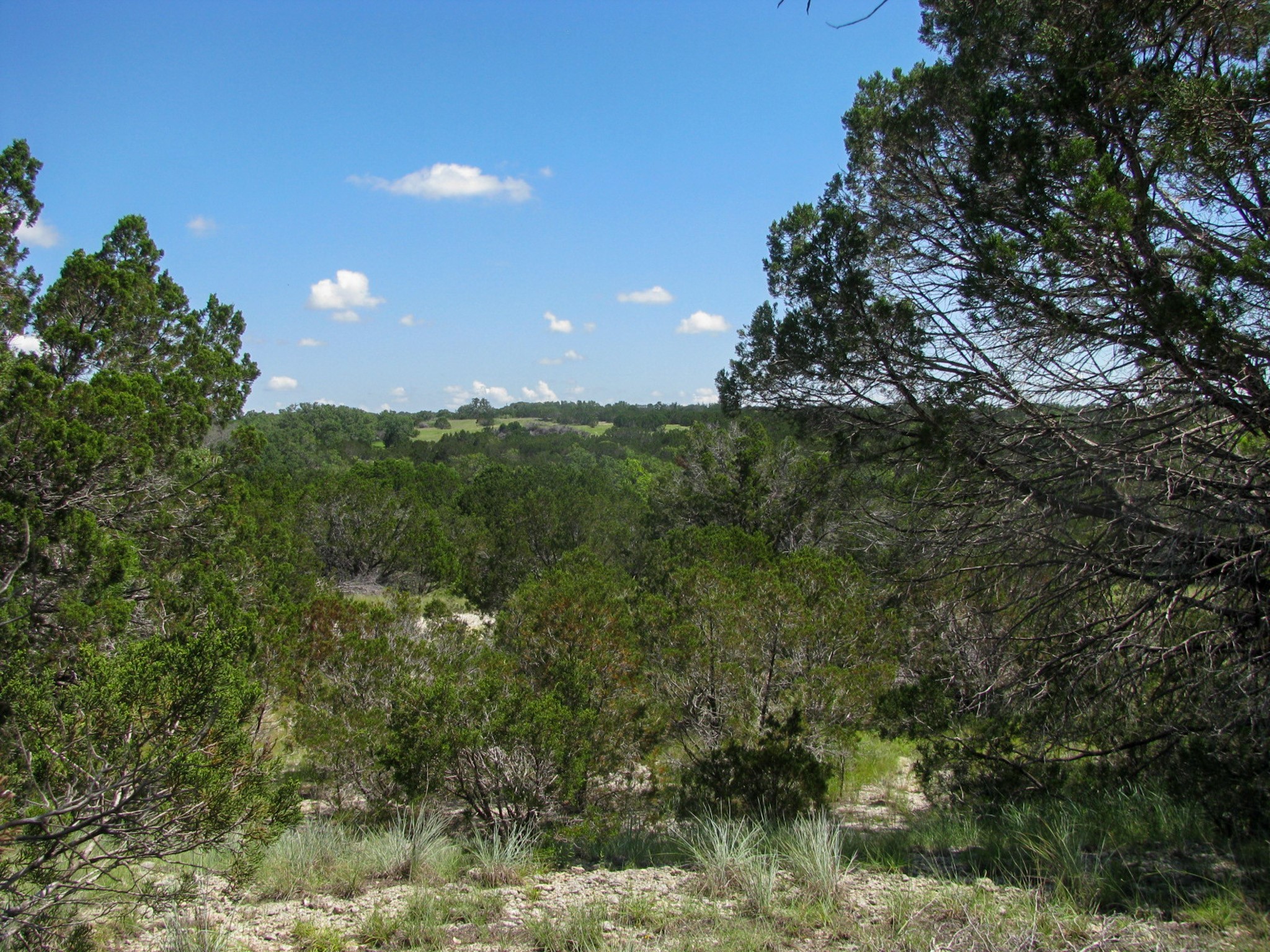 Lot 63 Phase 6 Pr 42107 Evant TX 76525