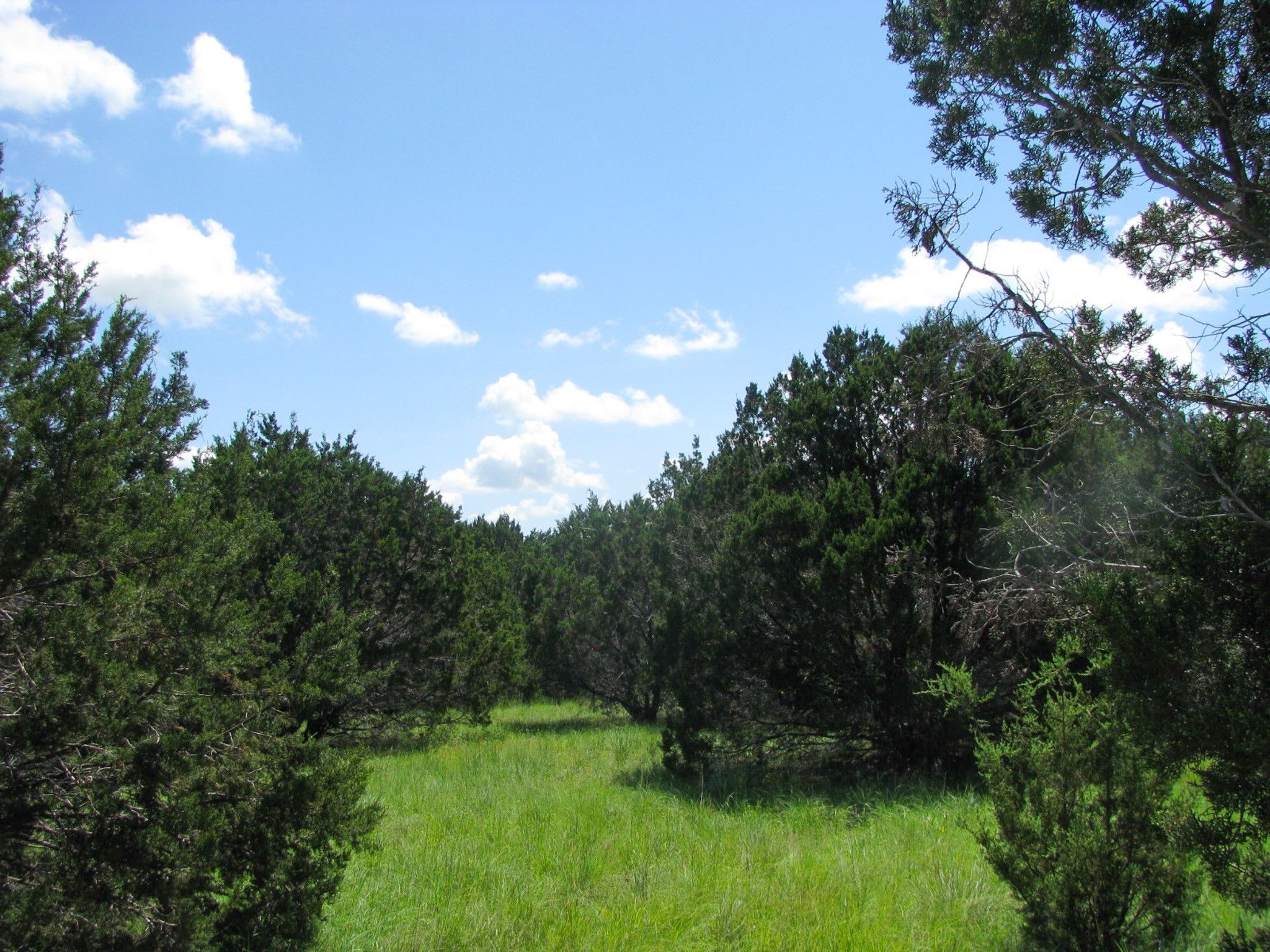 Lot 63 Phase 6 Pr 42107 Evant TX 76525