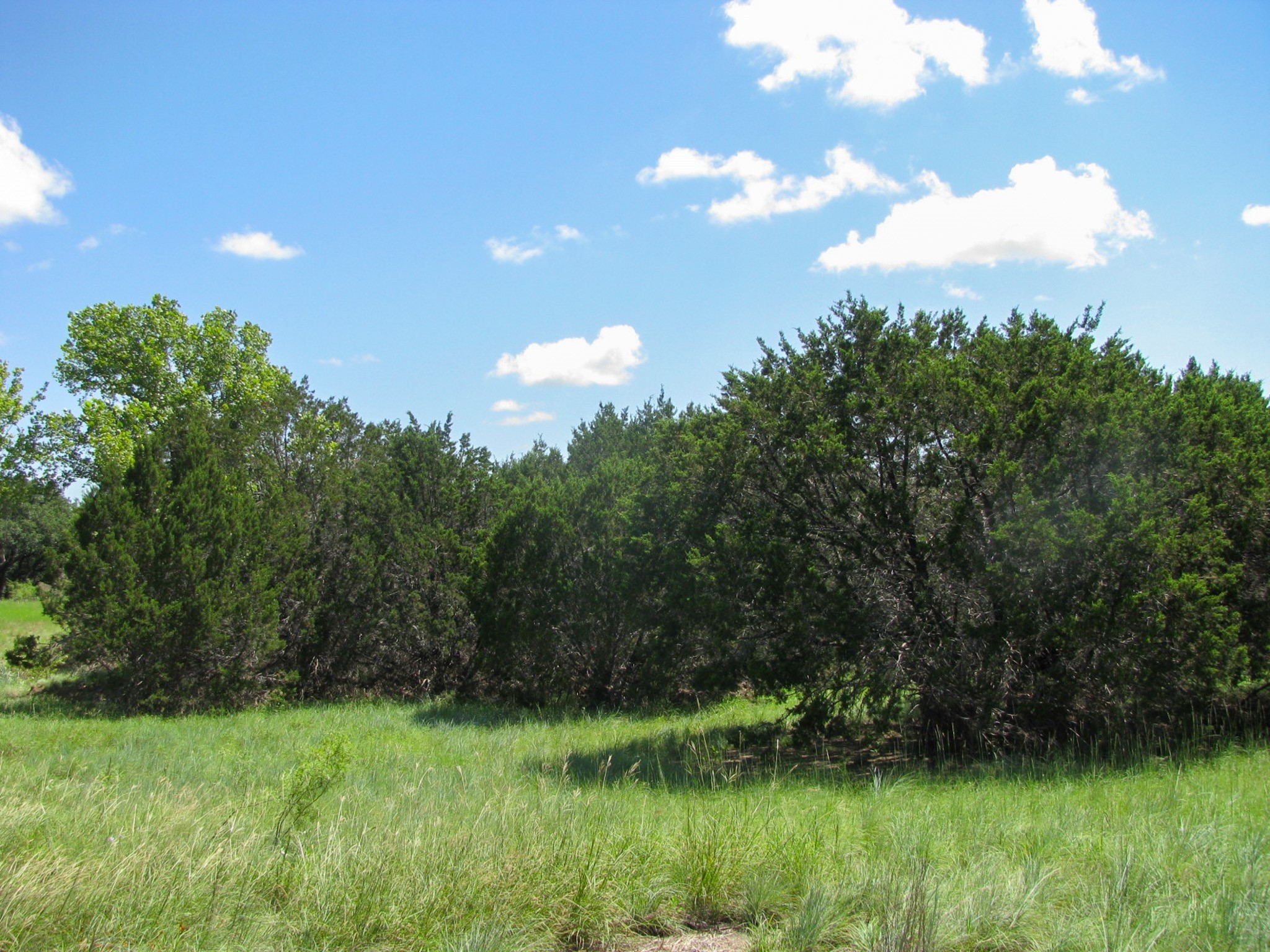 Lot 63 Phase 6 Pr 42107 Evant TX 76525