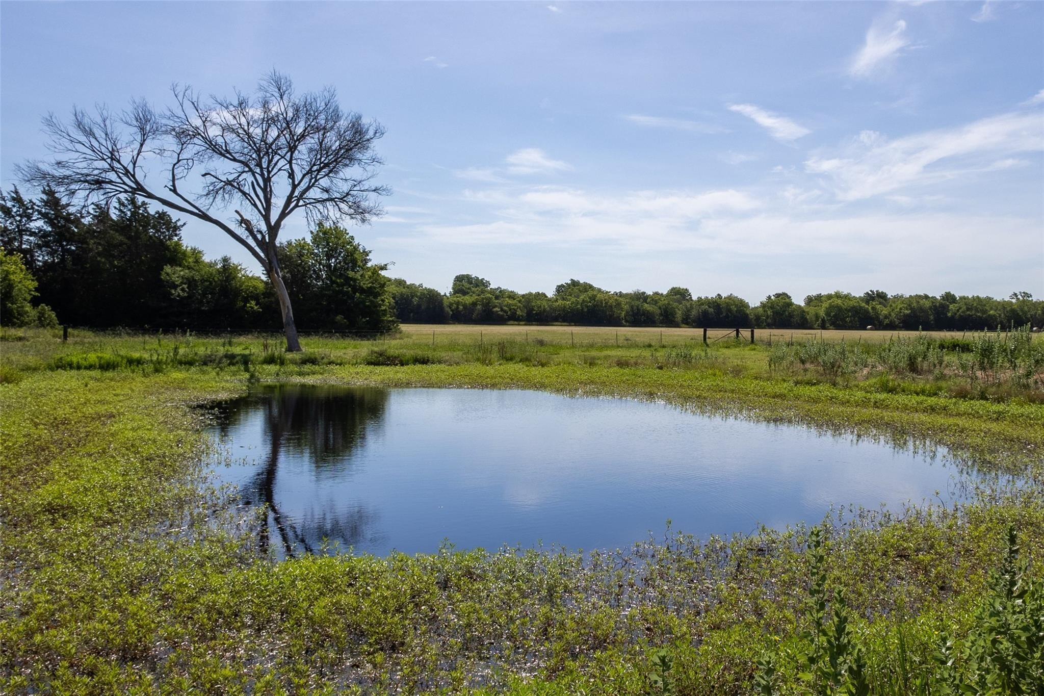 278 County Road 2241 Greenville TX 75402