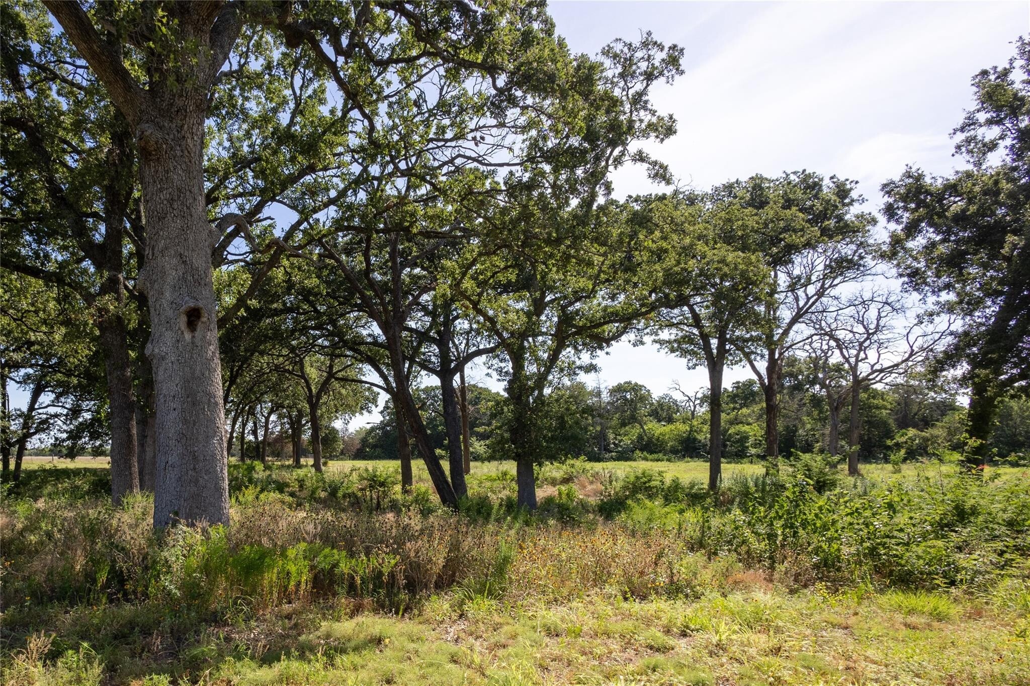 278 County Road 2241 Greenville TX 75402