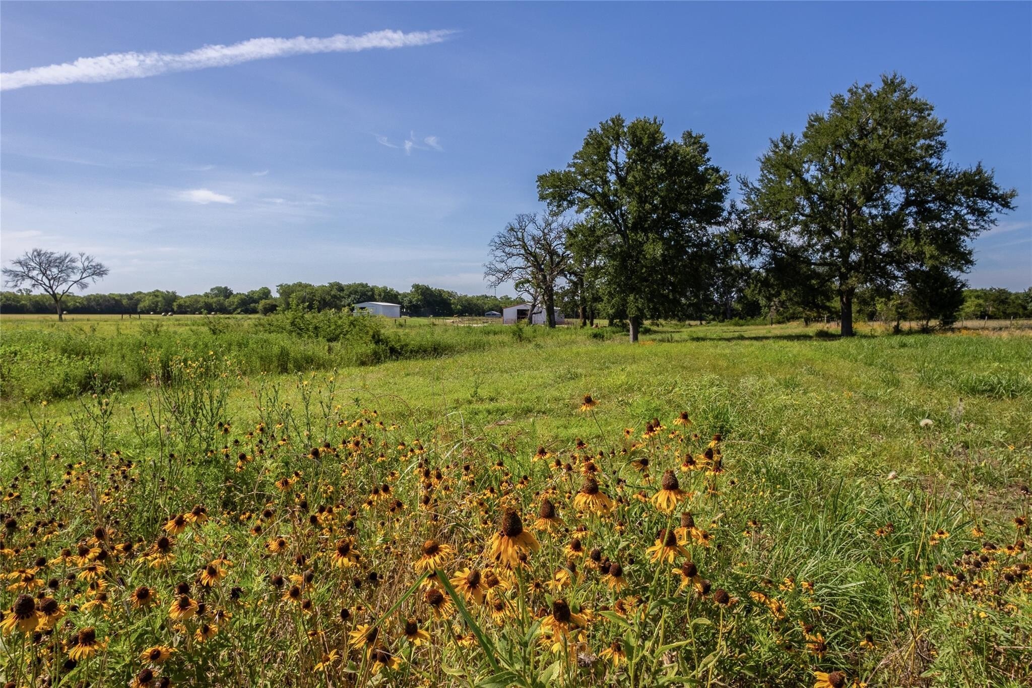 278 County Road 2241 Greenville TX 75402