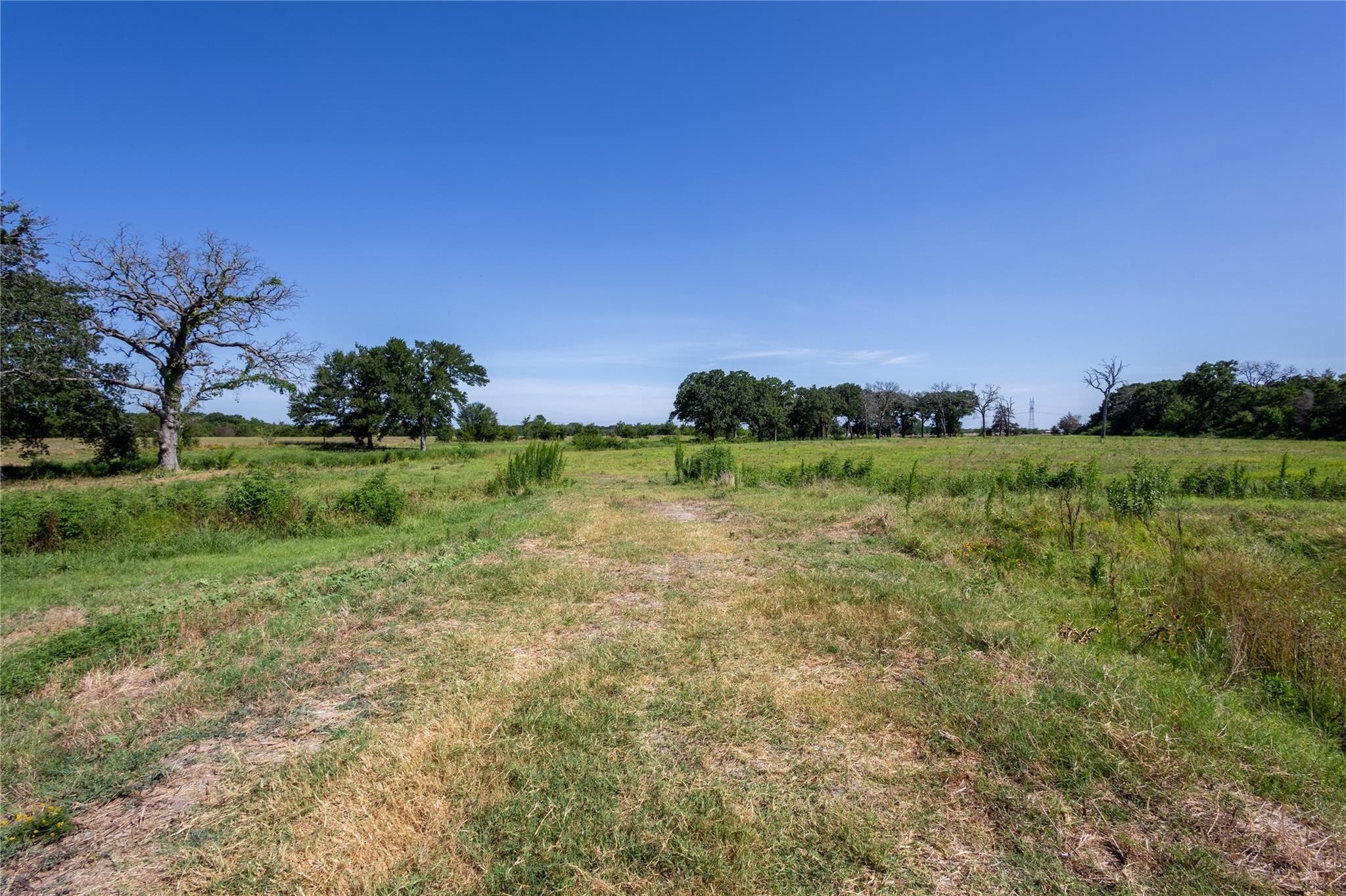 278 County Road 2241 Greenville TX 75402