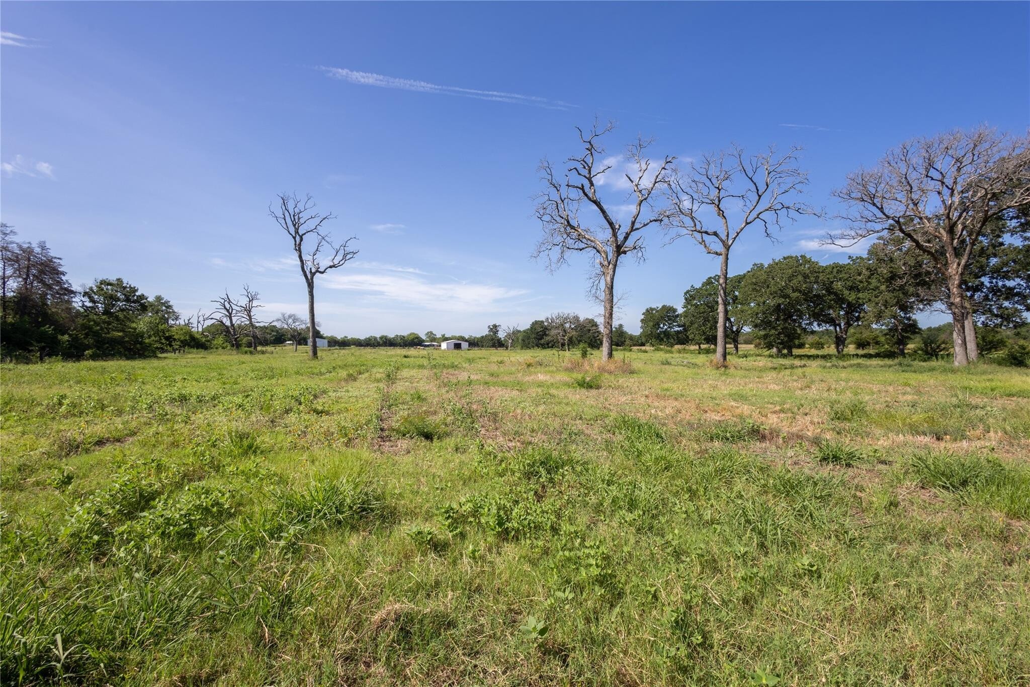 278 County Road 2241 Greenville TX 75402