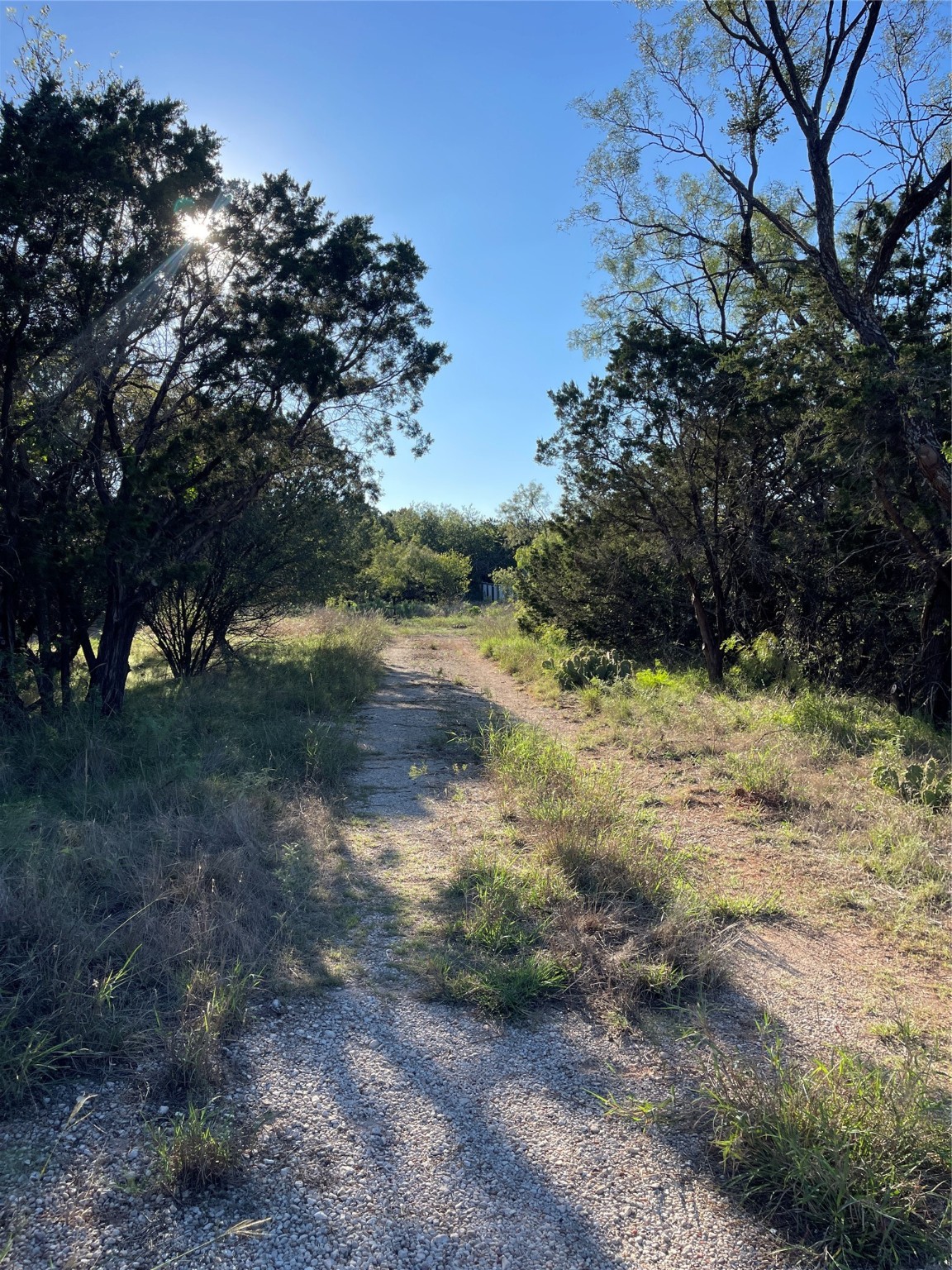 1310 Dan Moody Street Buffalo Gap TX 79508