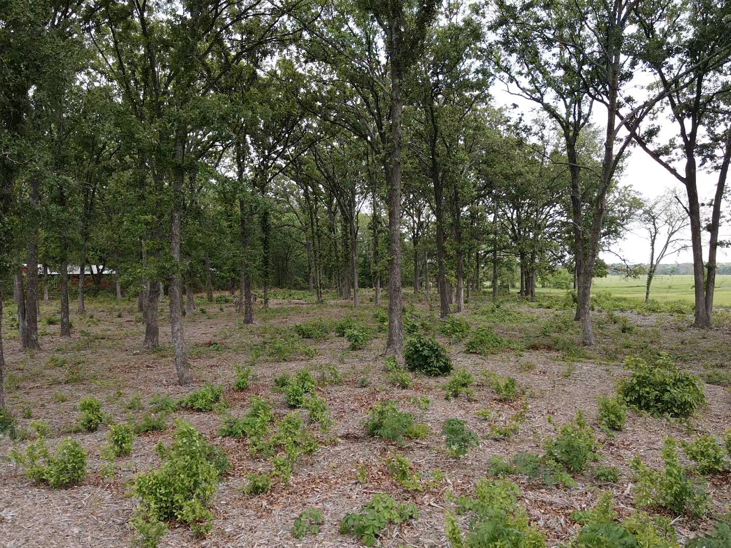 Tbd Fm 195 Paris TX 75462