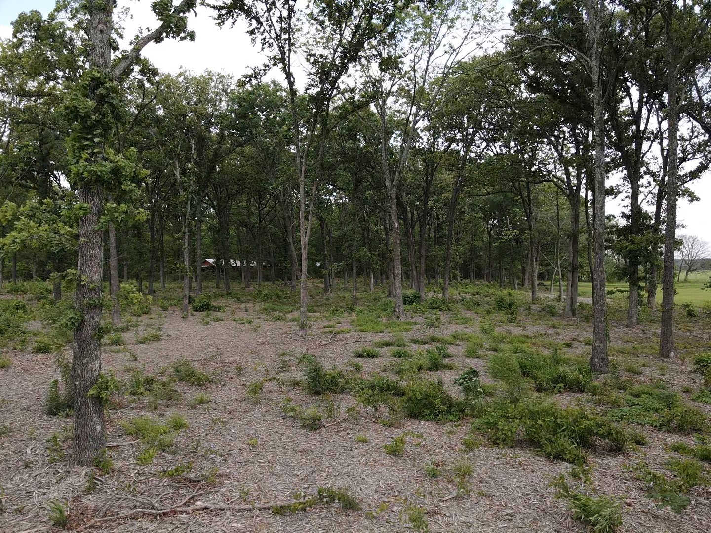Tbd Fm 195 Paris TX 75462