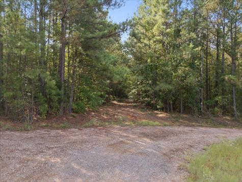 500 Uren Lee Road Overton TX 75684