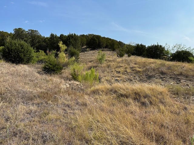Lot 143 Canyon Wren S Graford TX 76449