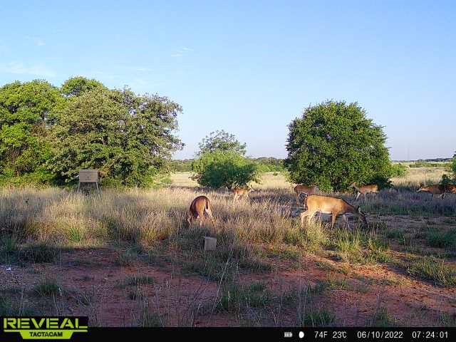 6234 County Road 383 Anson TX 79501
