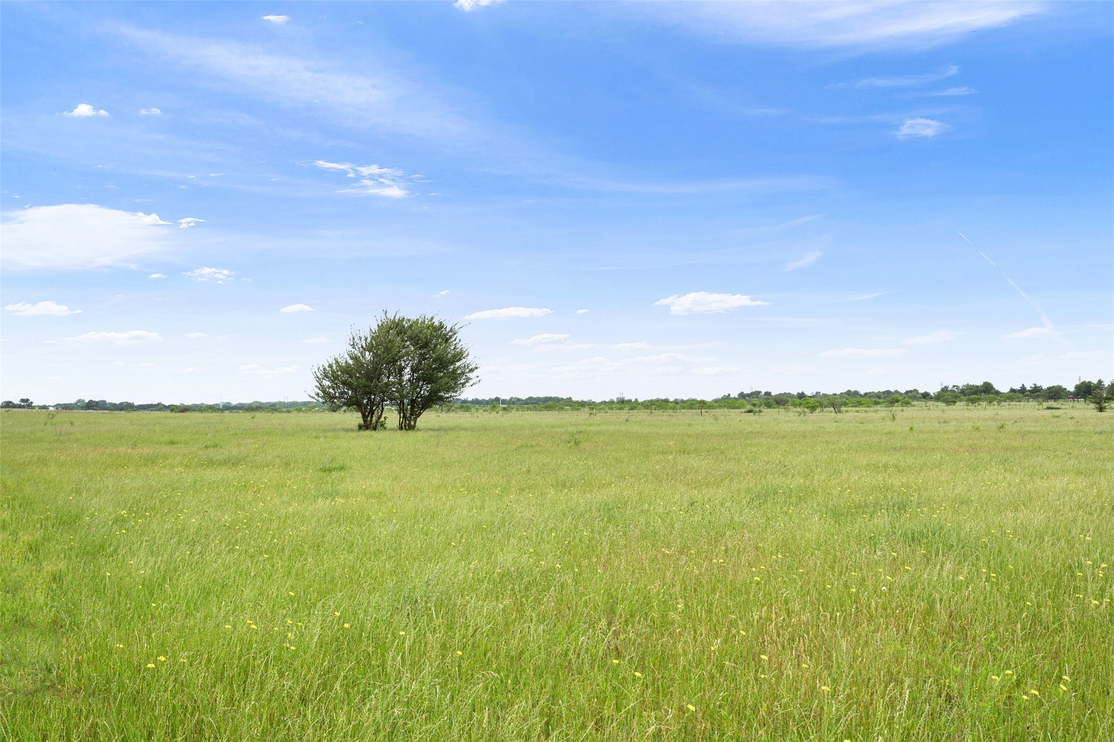 Tbd Highway 14 S Groesbeck TX 76642