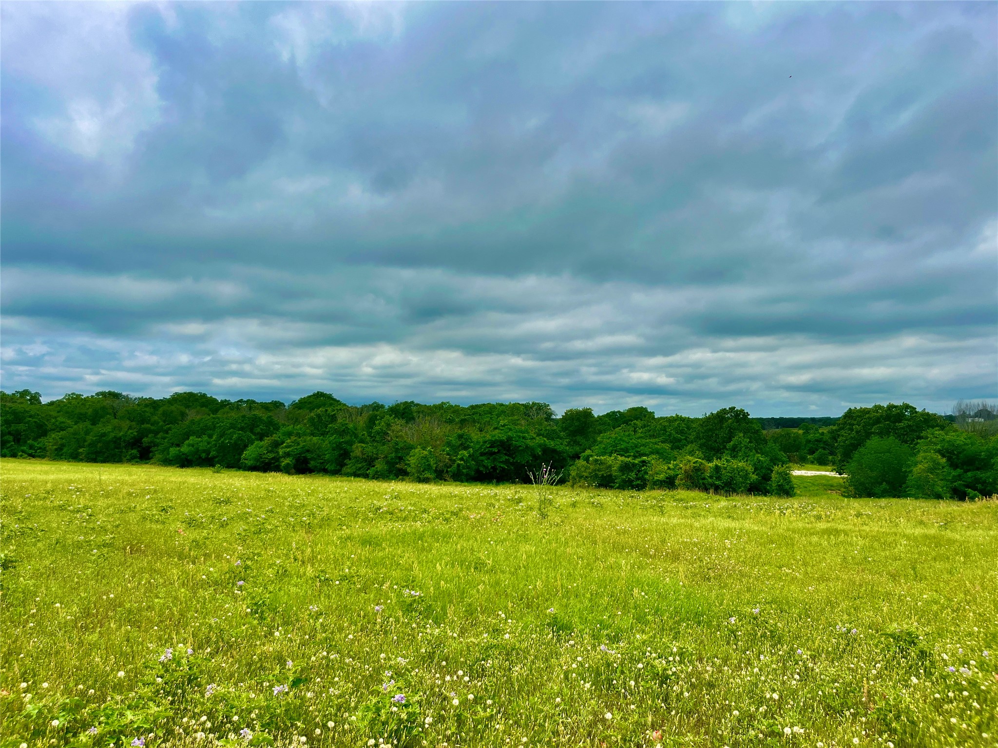 Lot 10 Clare Road Poolville TX 76487