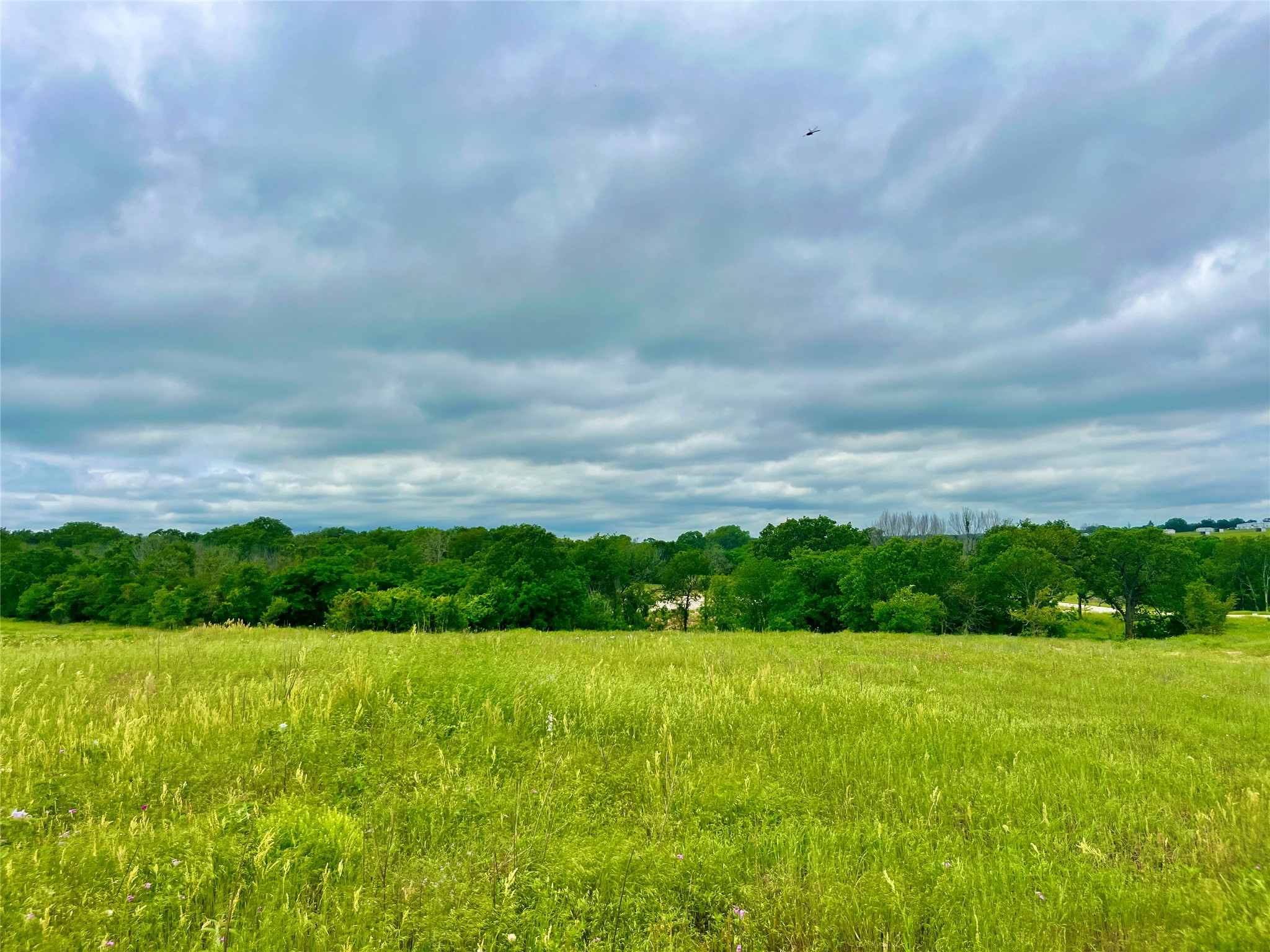 Lot 10 Clare Road Poolville TX 76487