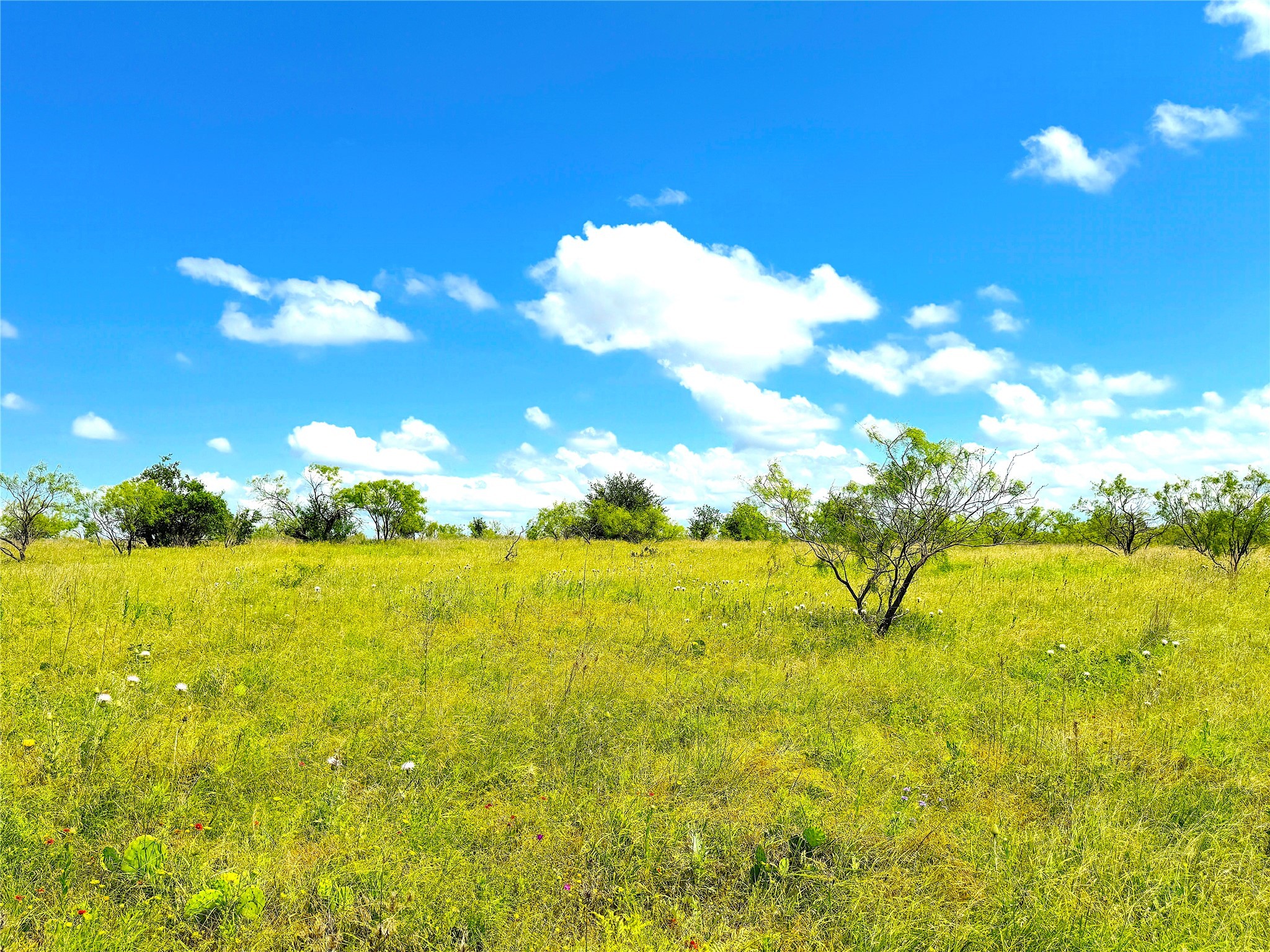 2091 Fm-52 Weatherford TX 76088
