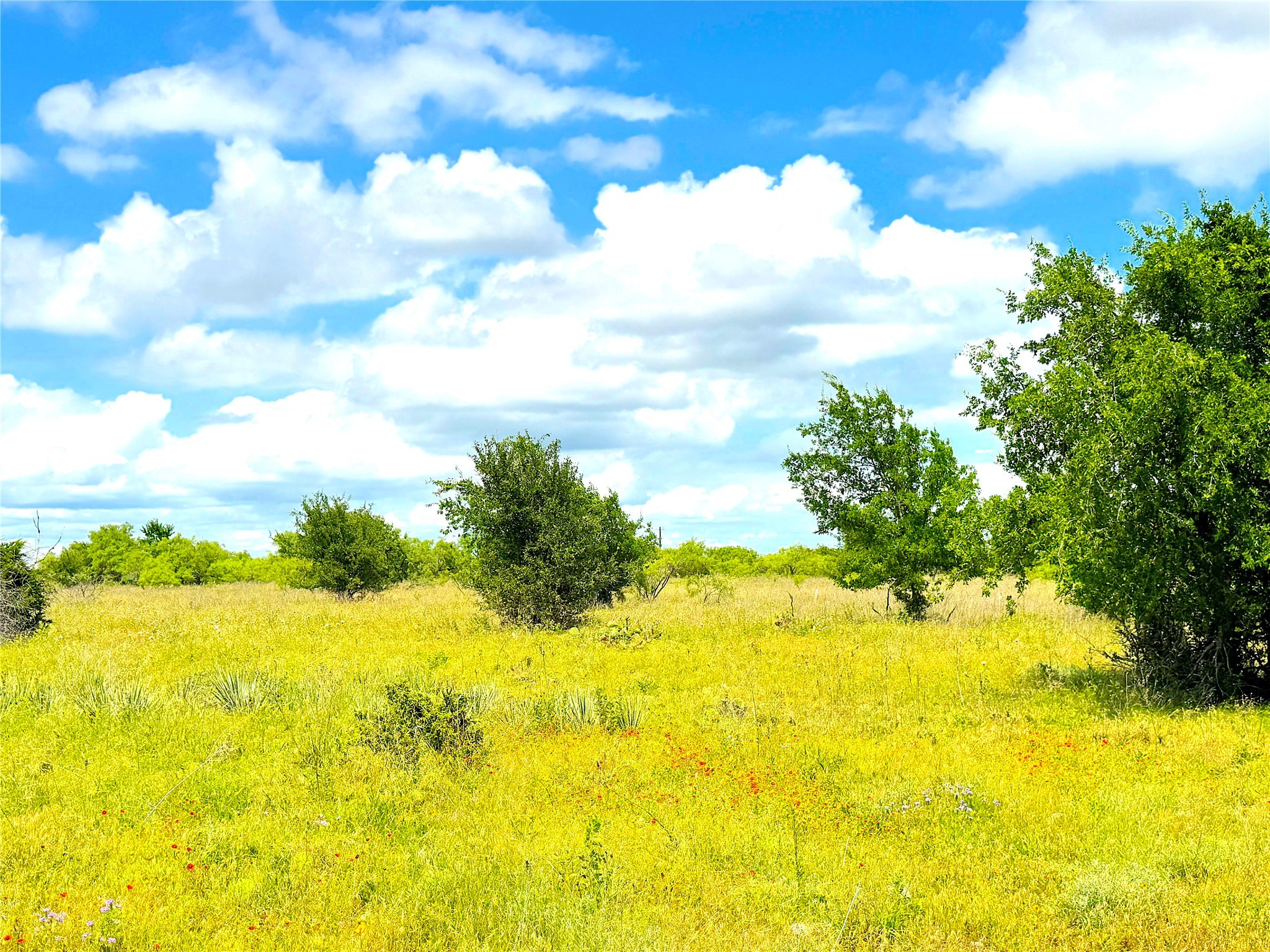 2091 Fm-52 Weatherford TX 76088