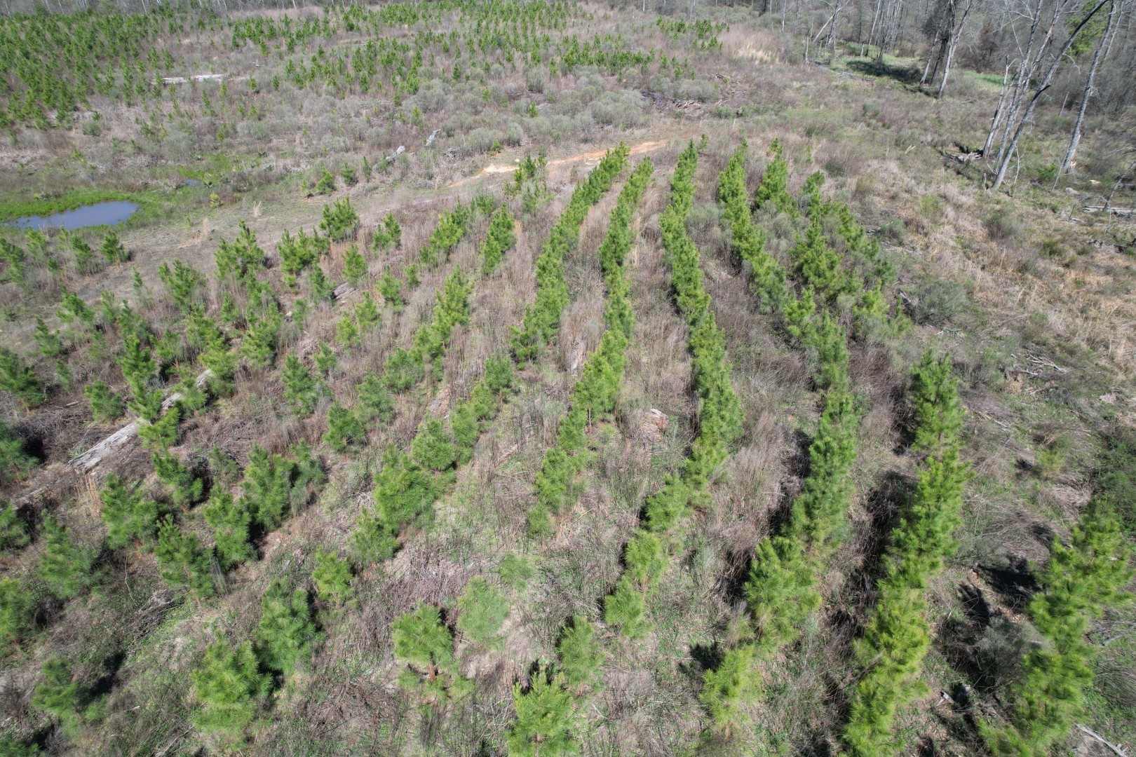 Tbd East Highway 59 Marshall TX 75672