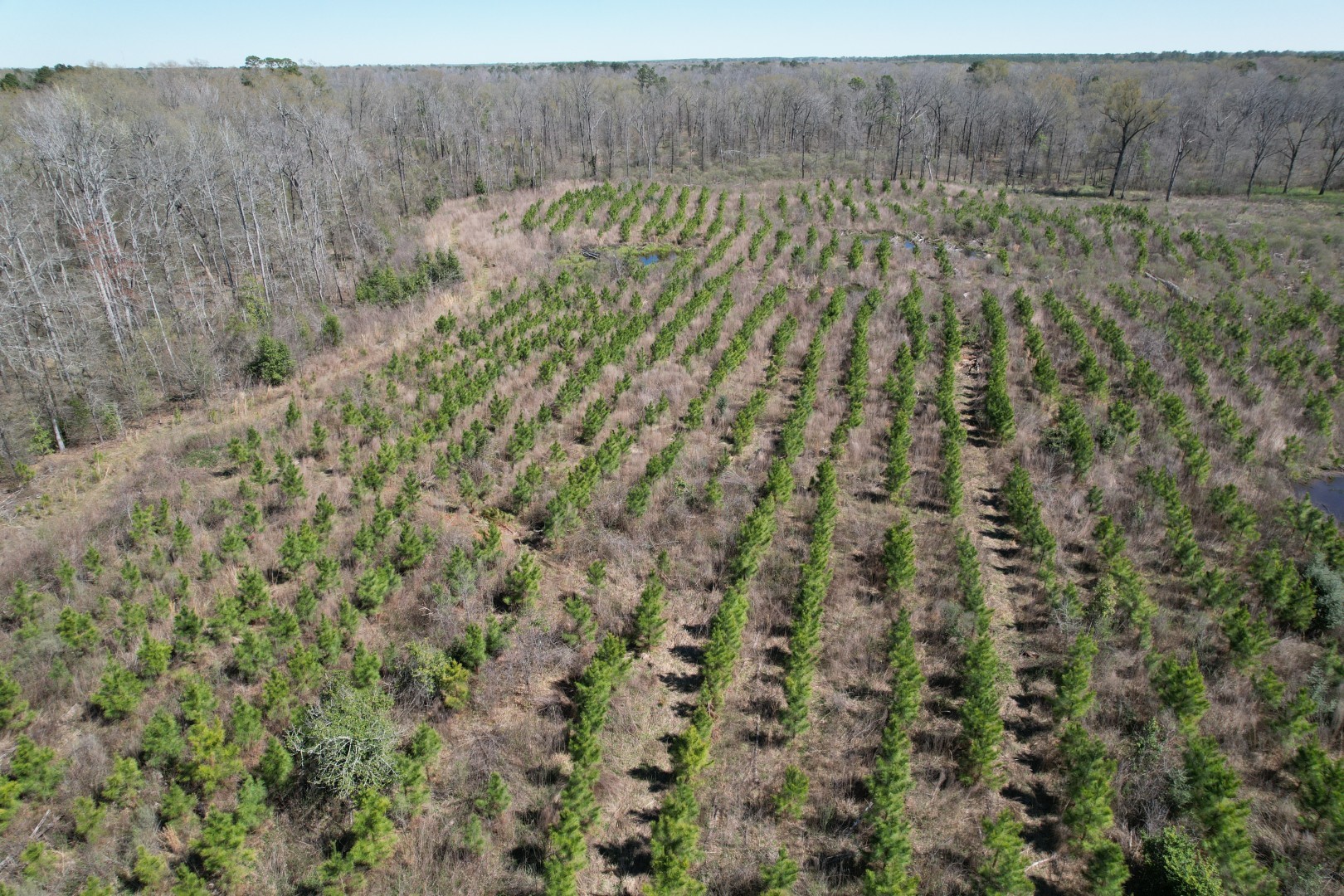 Tbd East Highway 59 Marshall TX 75672