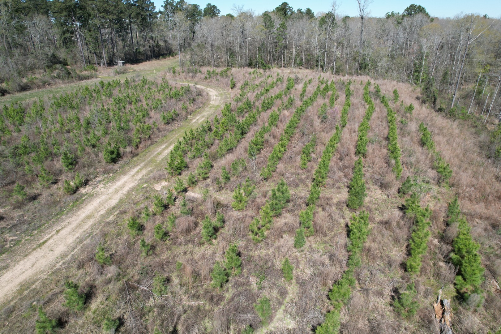 Tbd East Highway 59 Marshall TX 75672