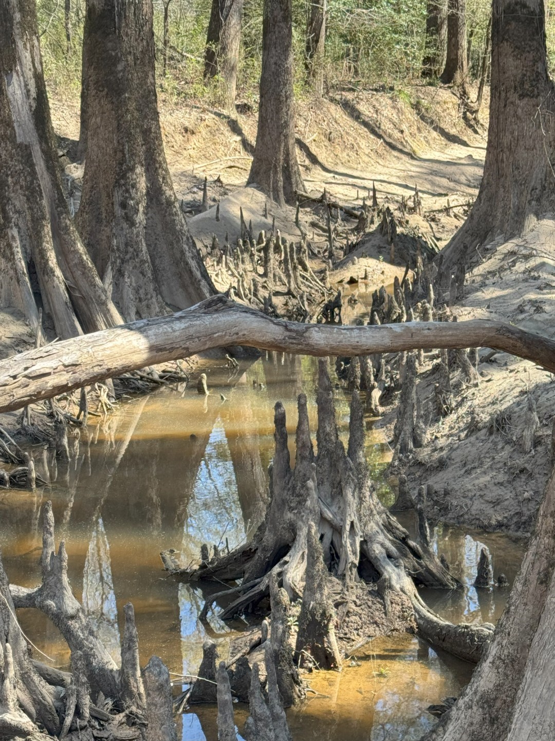 Tbd East Highway 59 Marshall TX 75672