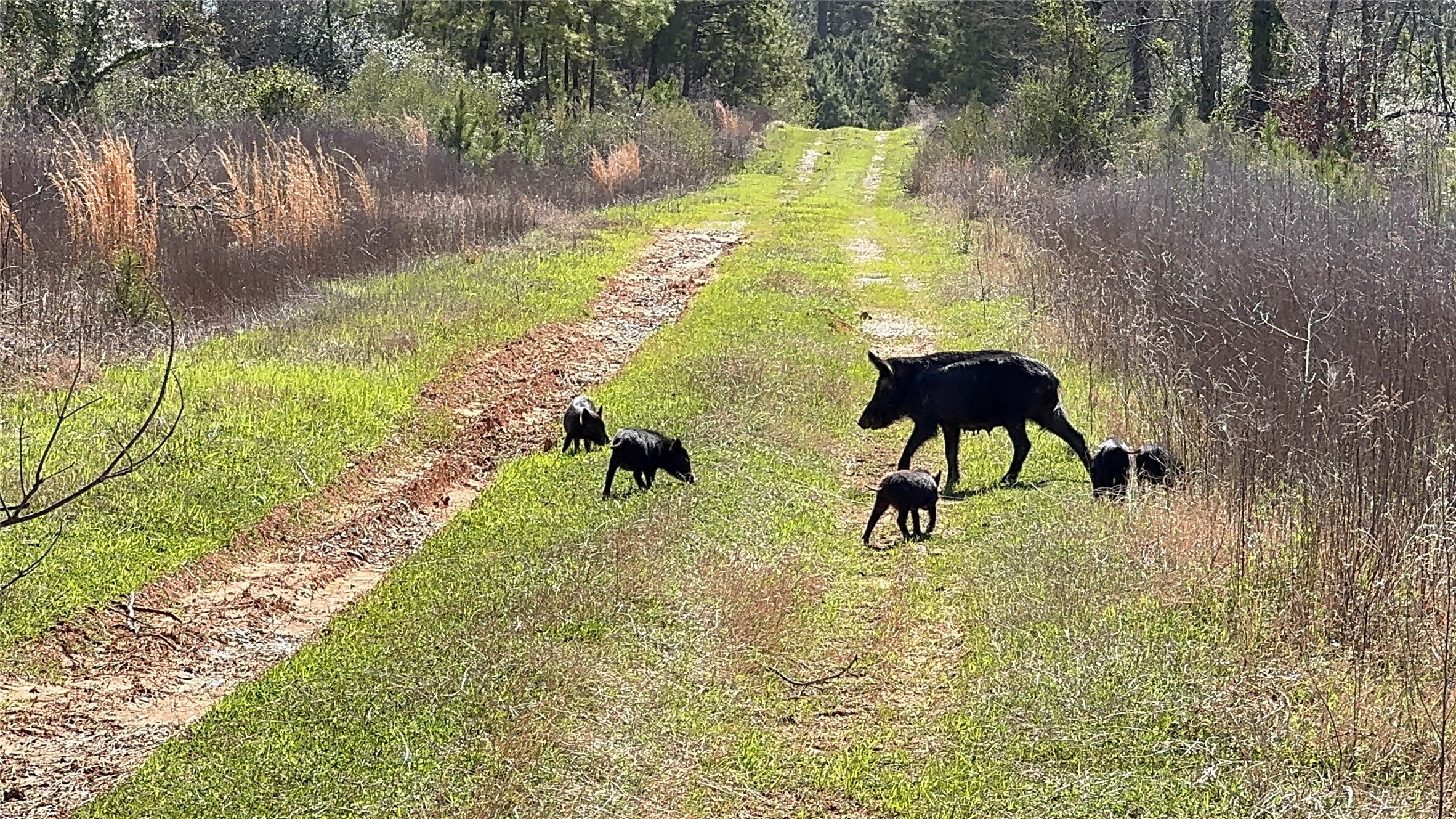 Tbd East Highway 59 Marshall TX 75672