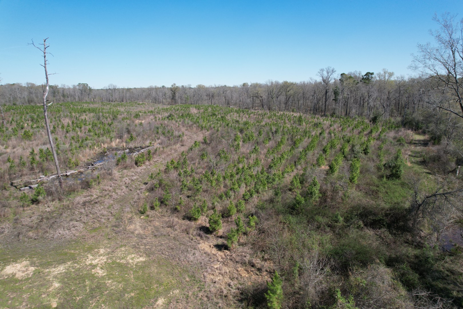 Tbd East Highway 59 Marshall TX 75672