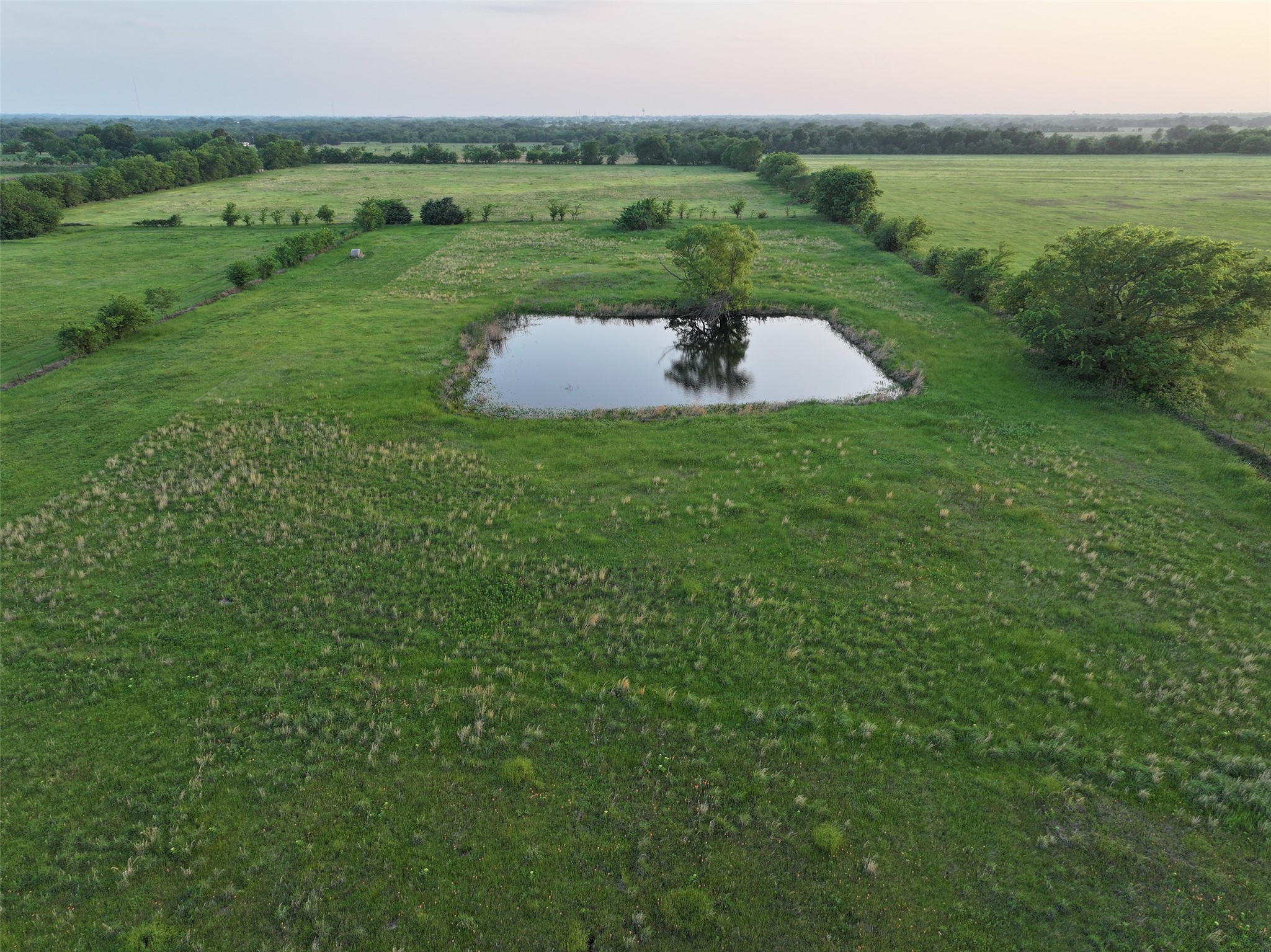 3093 3504 Wills Point TX 75169