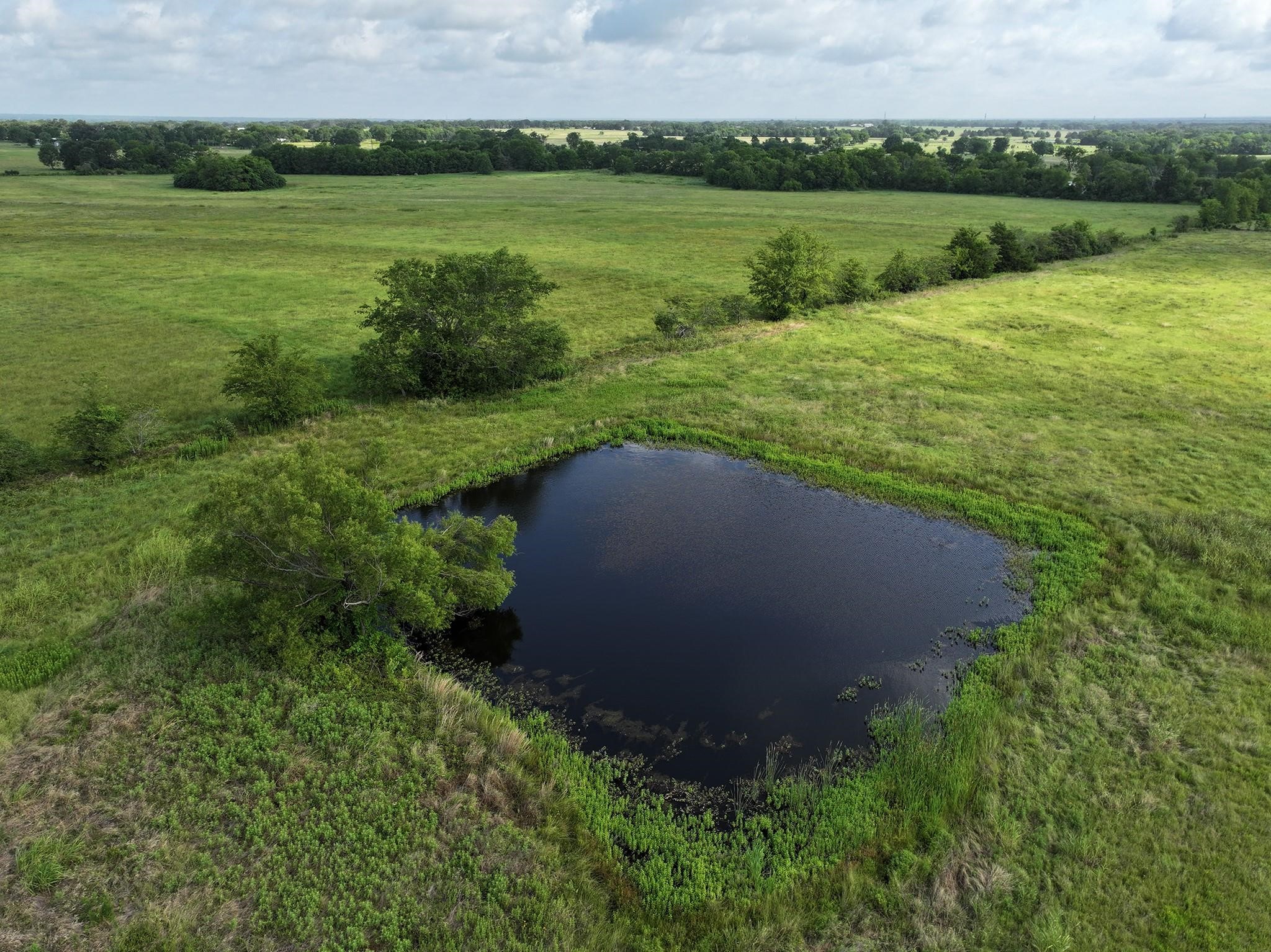 3093 3504 Wills Point TX 75169