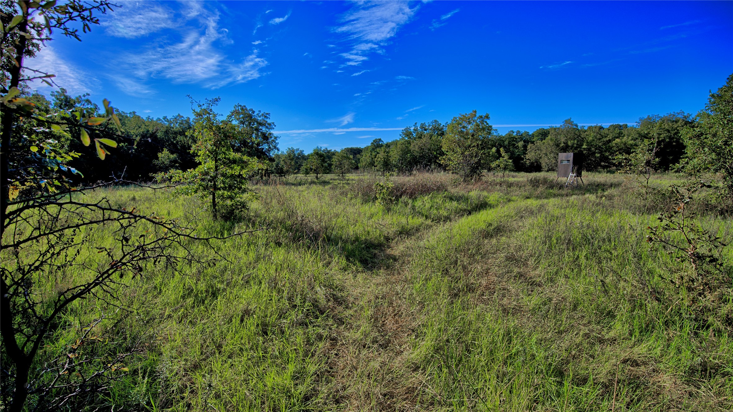 Tbd 4 Wire Road Bellevue TX 76228