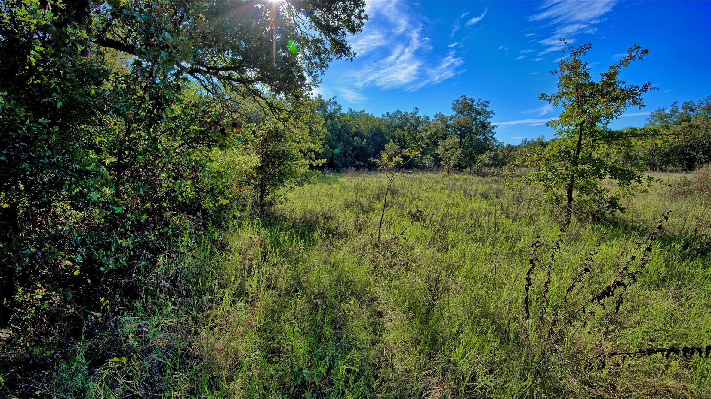Tbd 4 Wire Road Bellevue TX 76228