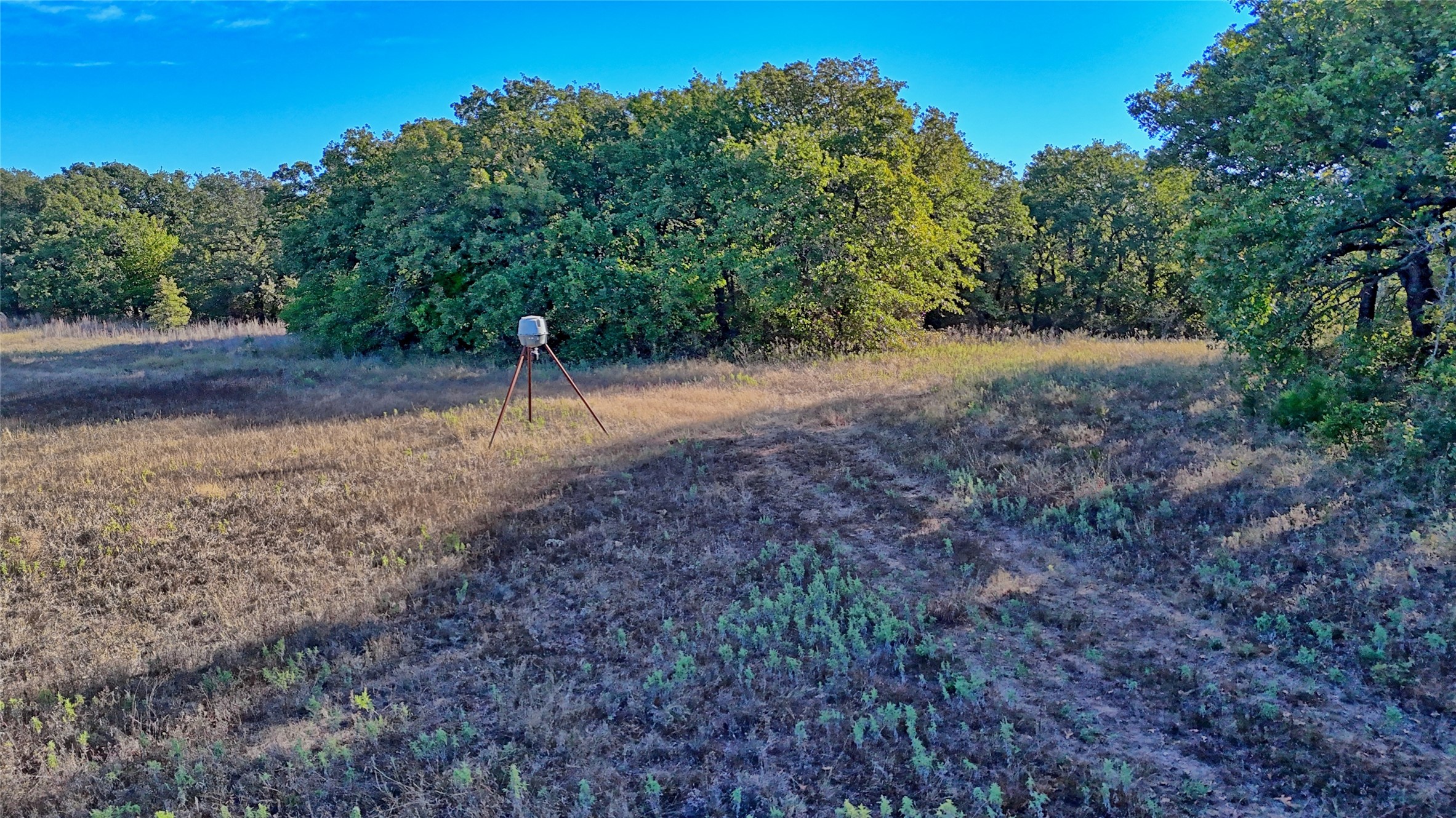 Tbd 4 Wire Road Bellevue TX 76228