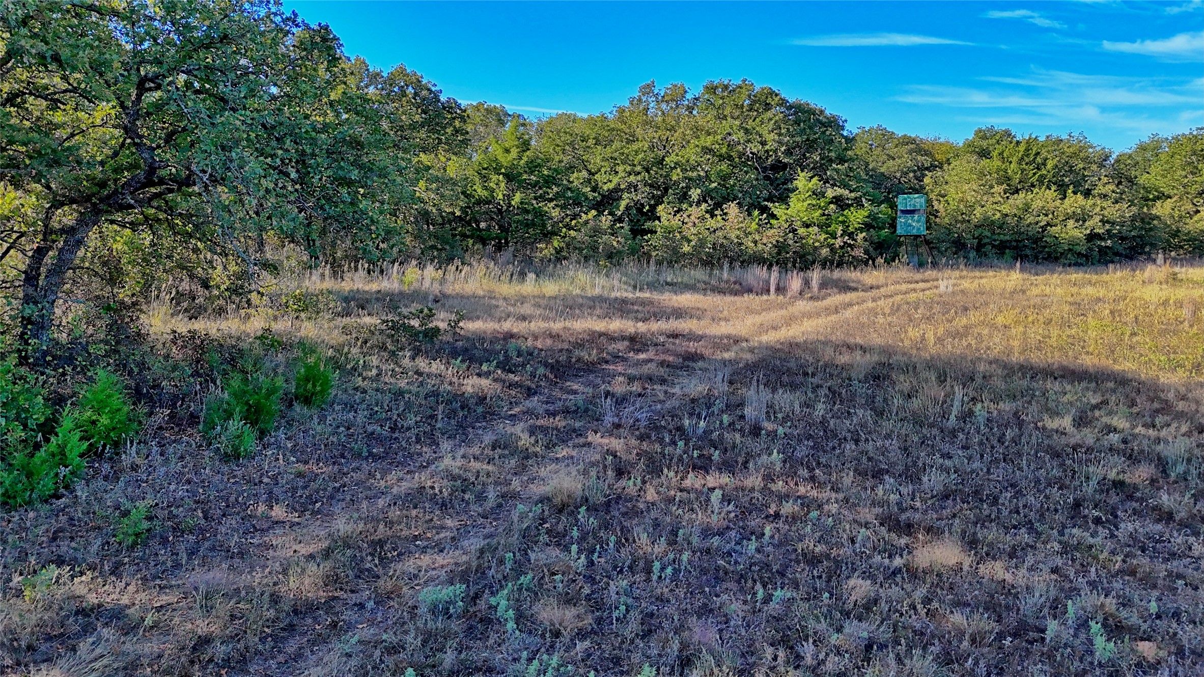 Tbd 4 Wire Road Bellevue TX 76228