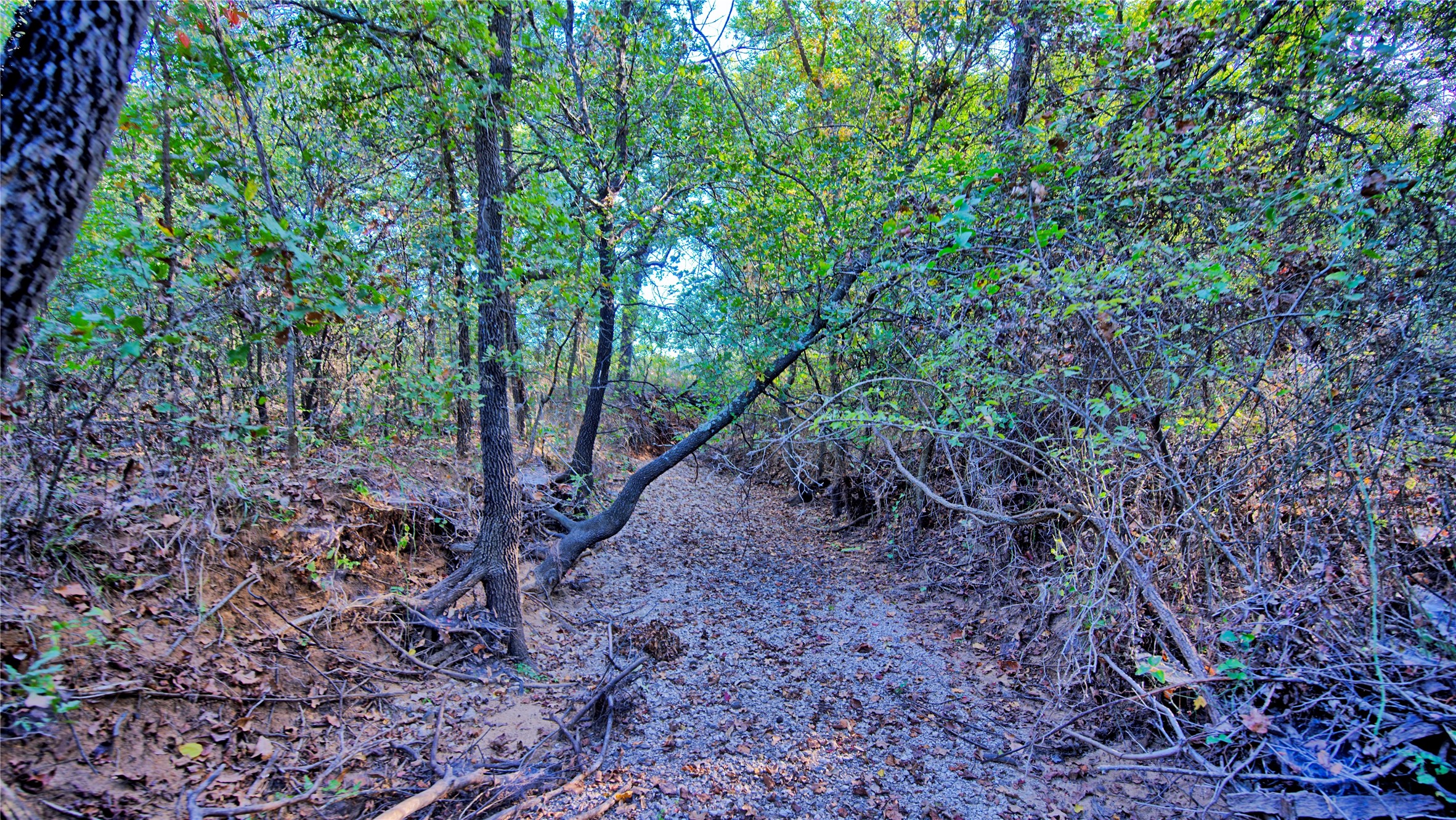 Tbd 4 Wire Road Bellevue TX 76228