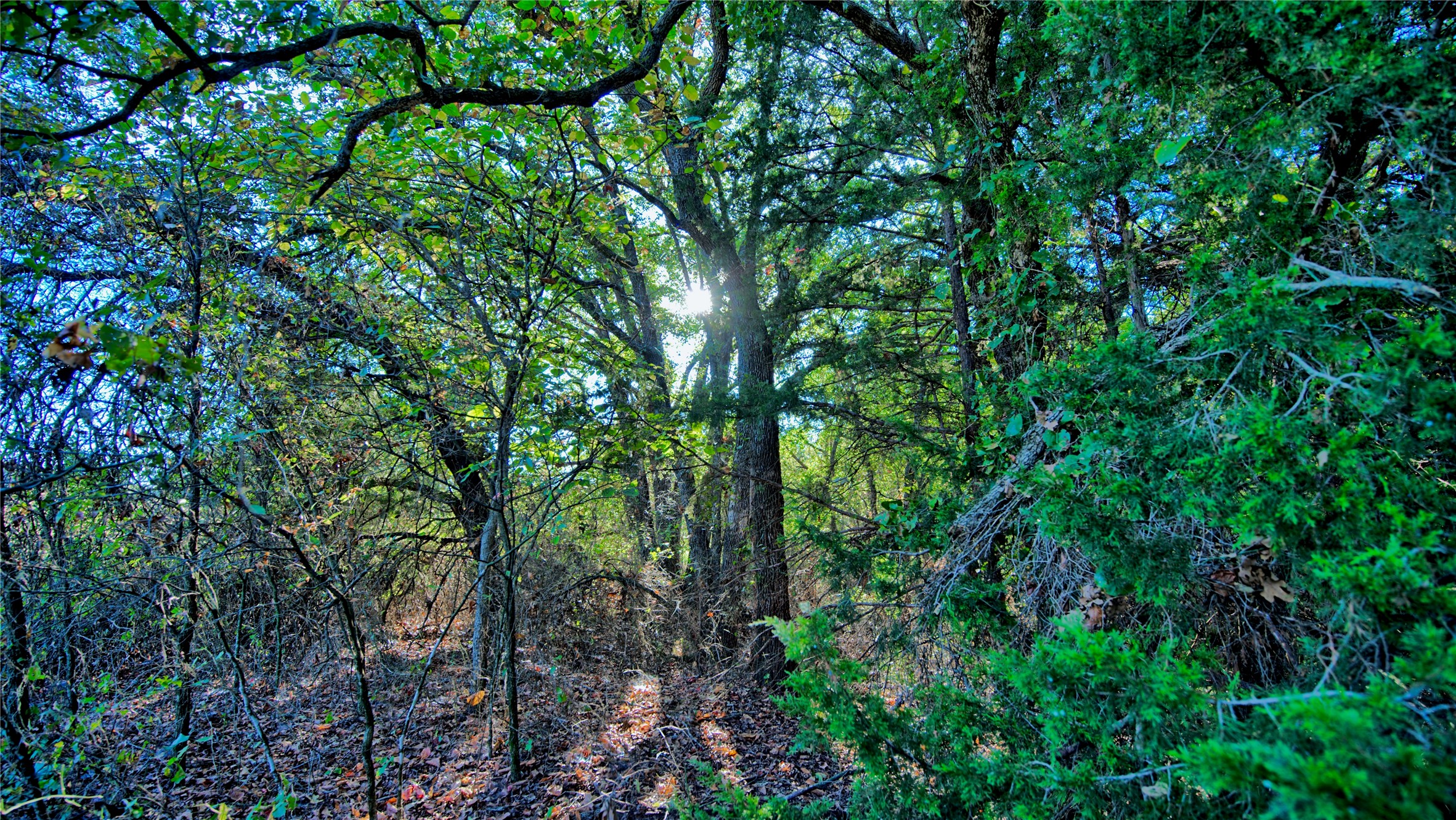 Tbd 4 Wire Road Bellevue TX 76228
