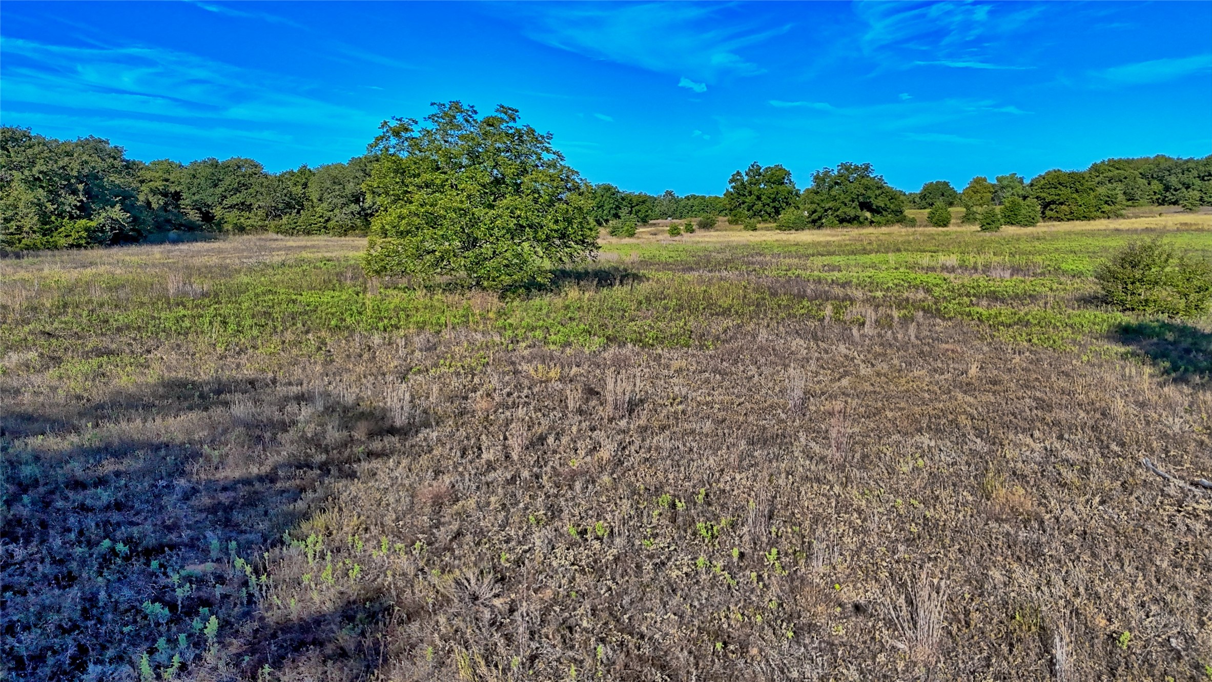 Tbd 4 Wire Road Bellevue TX 76228