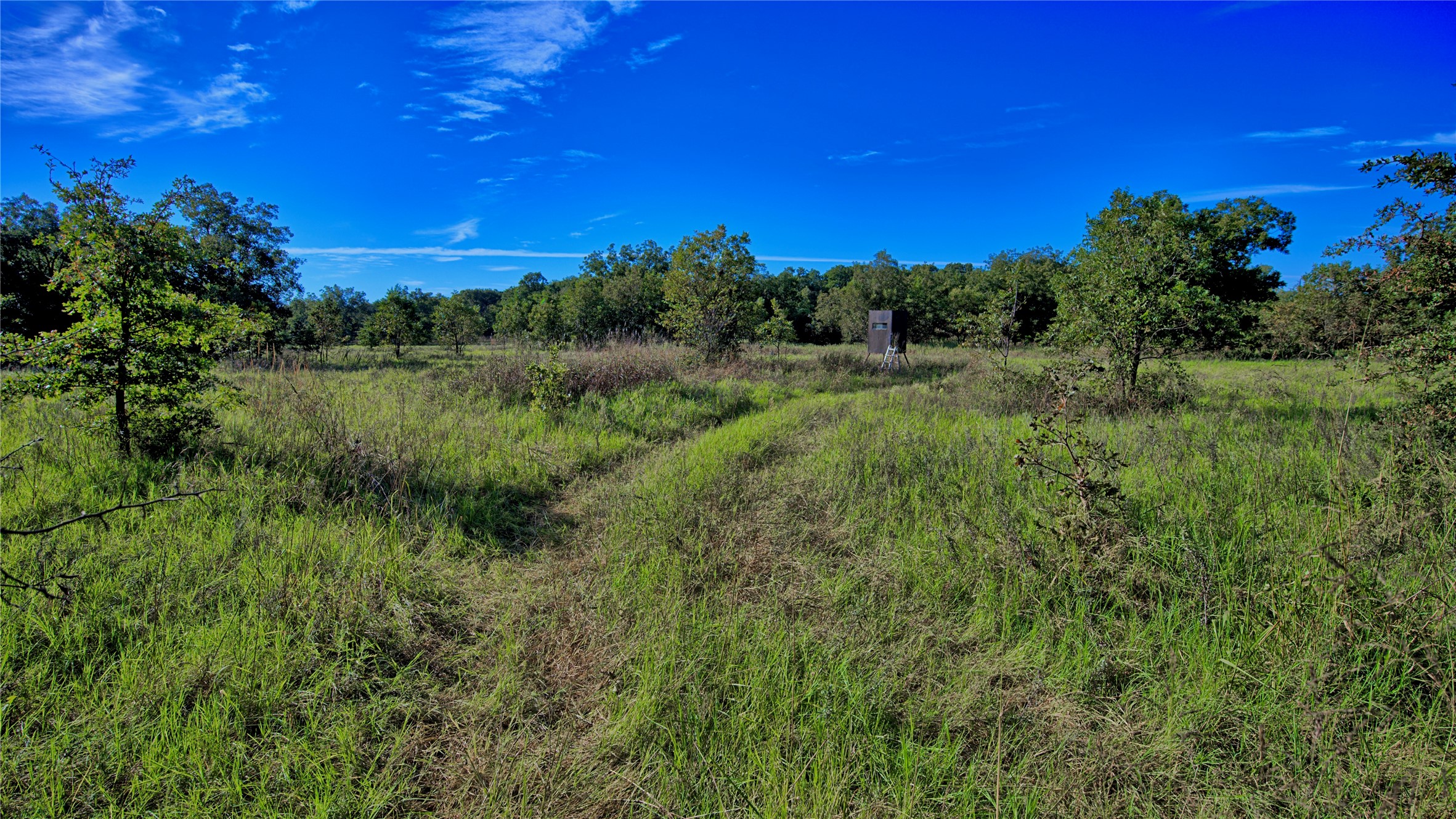 Tbd 4 Wire Road Bellevue TX 76228