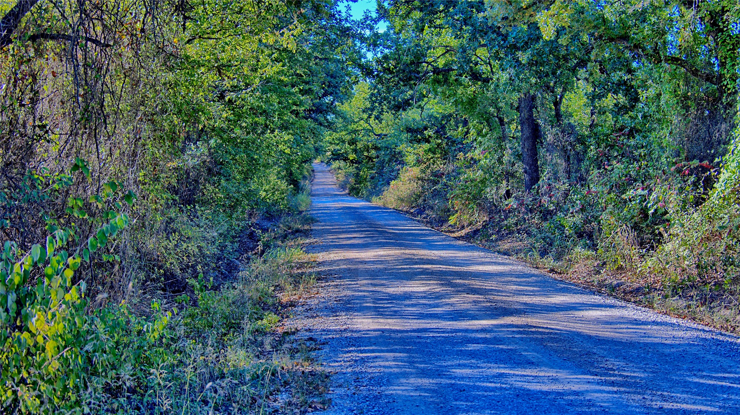 Tbd 4 Wire Road Bellevue TX 76228