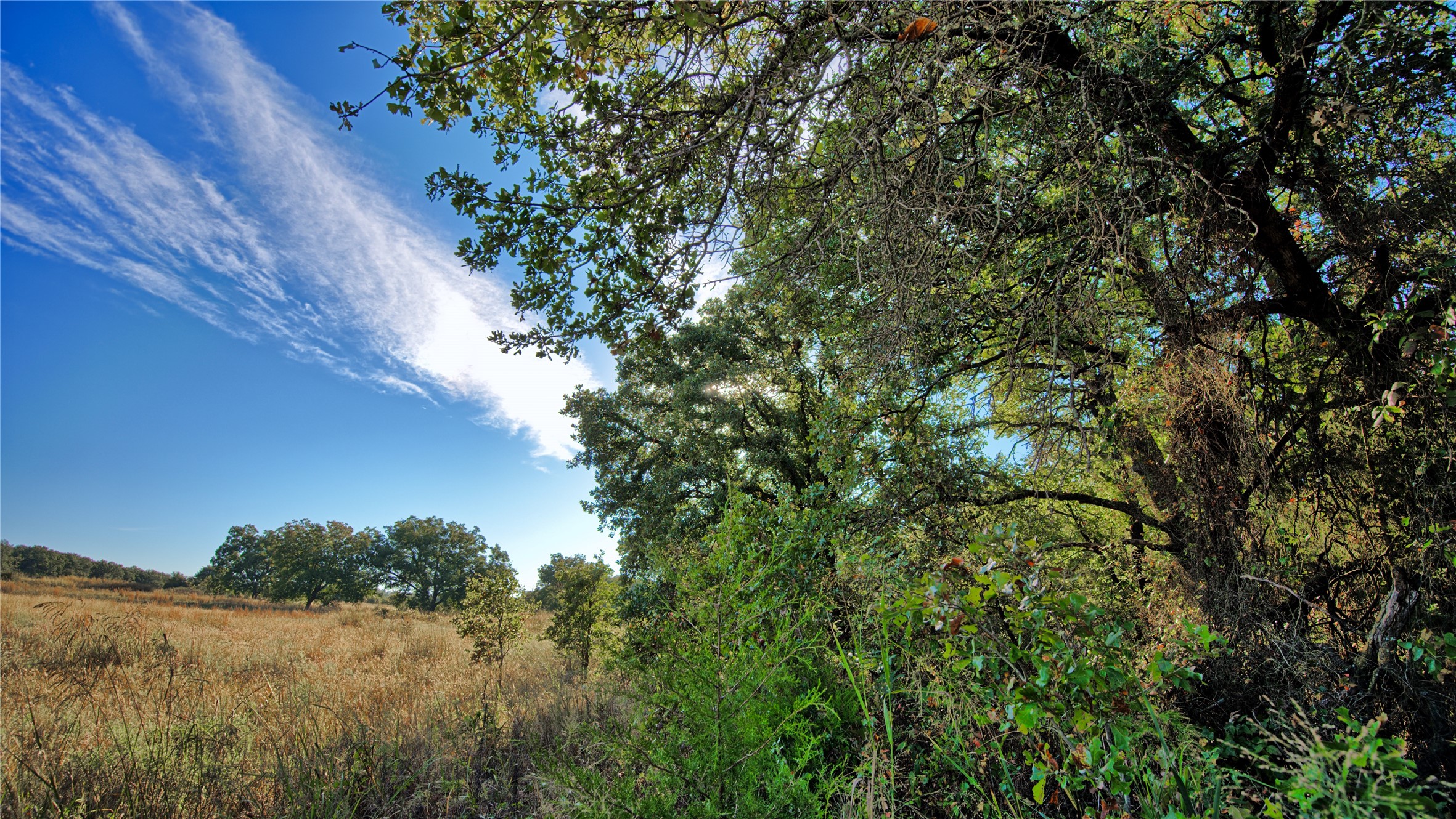 Tbd 4 Wire Road Bellevue TX 76228
