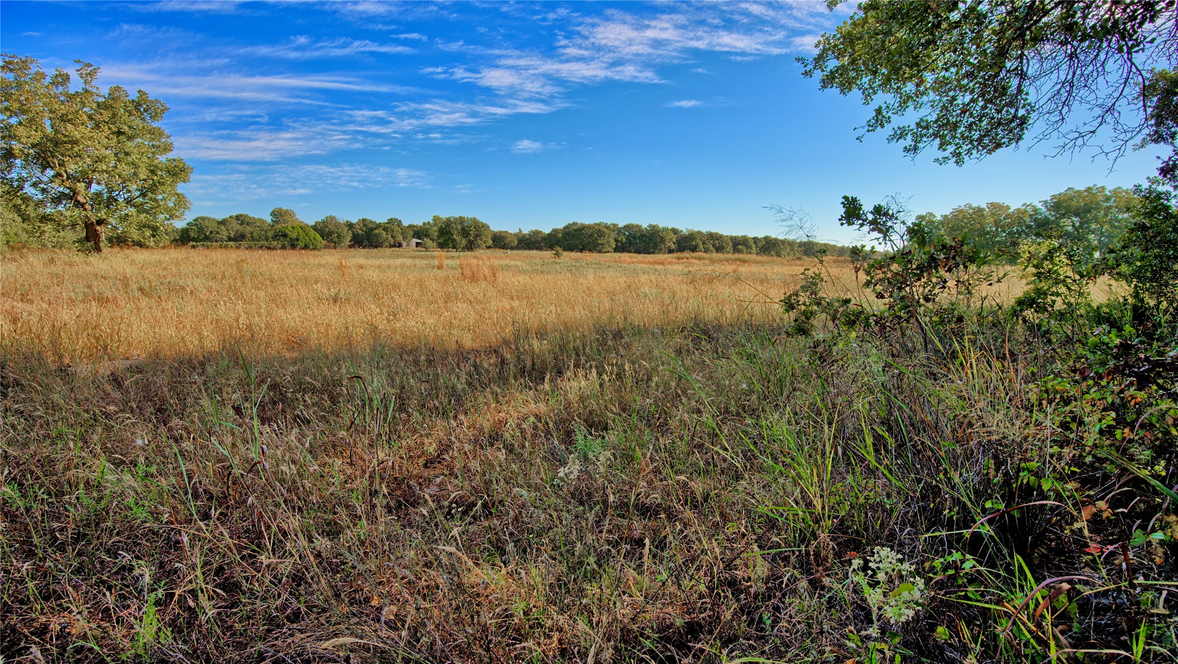 Tbd 4 Wire Road Bellevue TX 76228